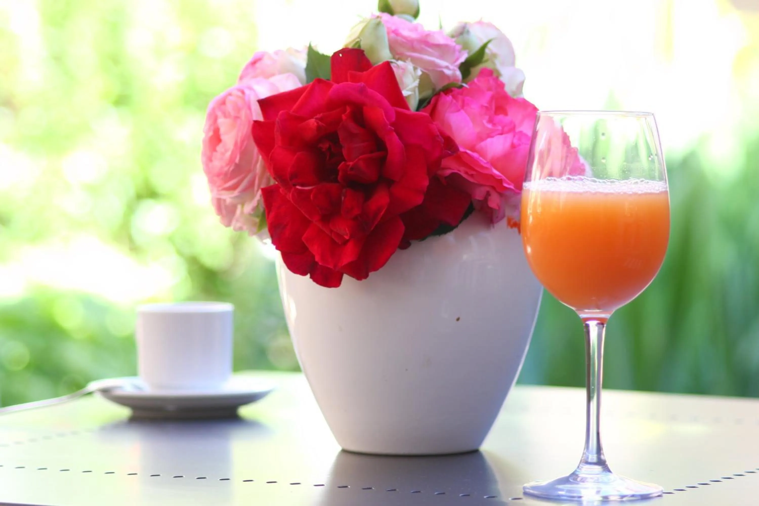 Garden in Le Continental