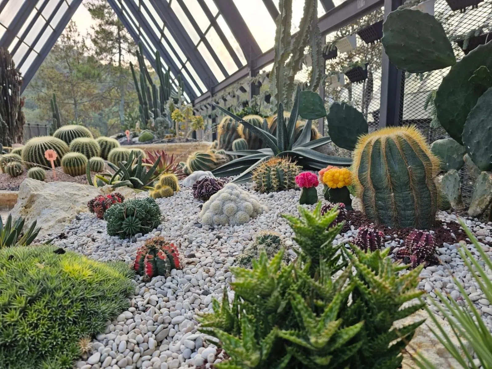 Natural landscape in The Gaia Hotel Bandung