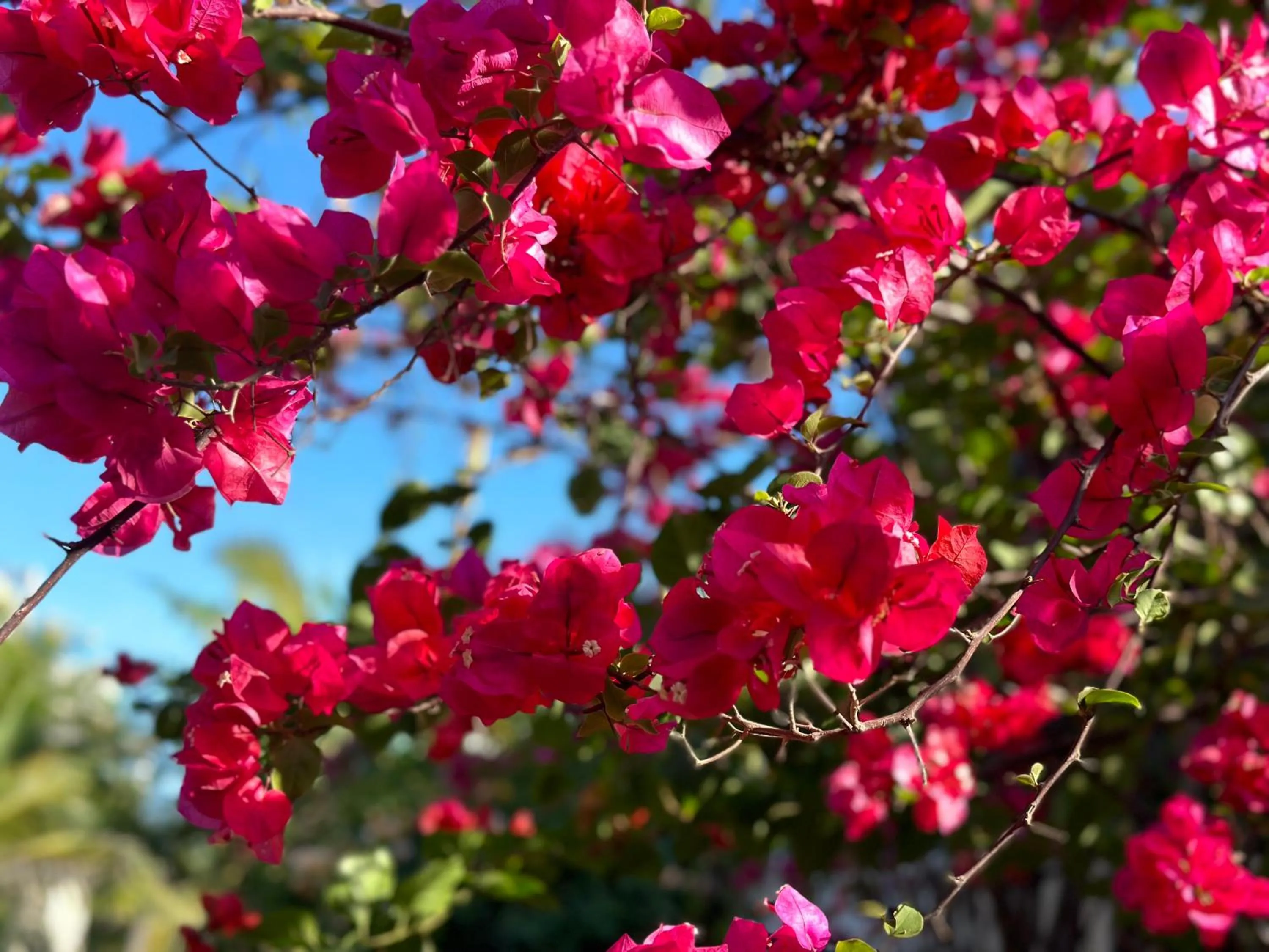Property building in Beachfront Paradise Boutique Hotel