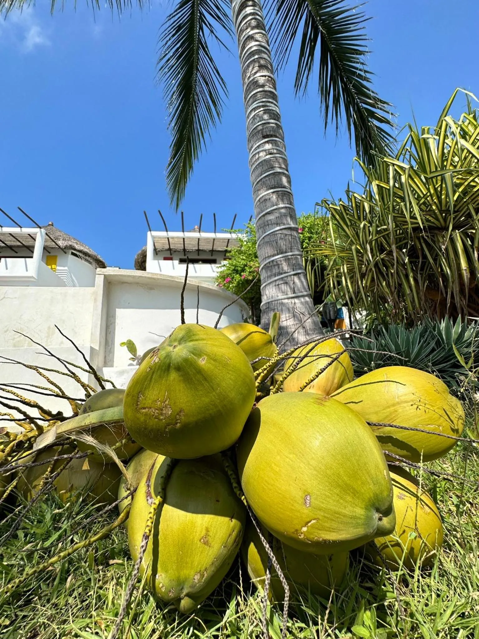 Property building in Beachfront Paradise Boutique Hotel
