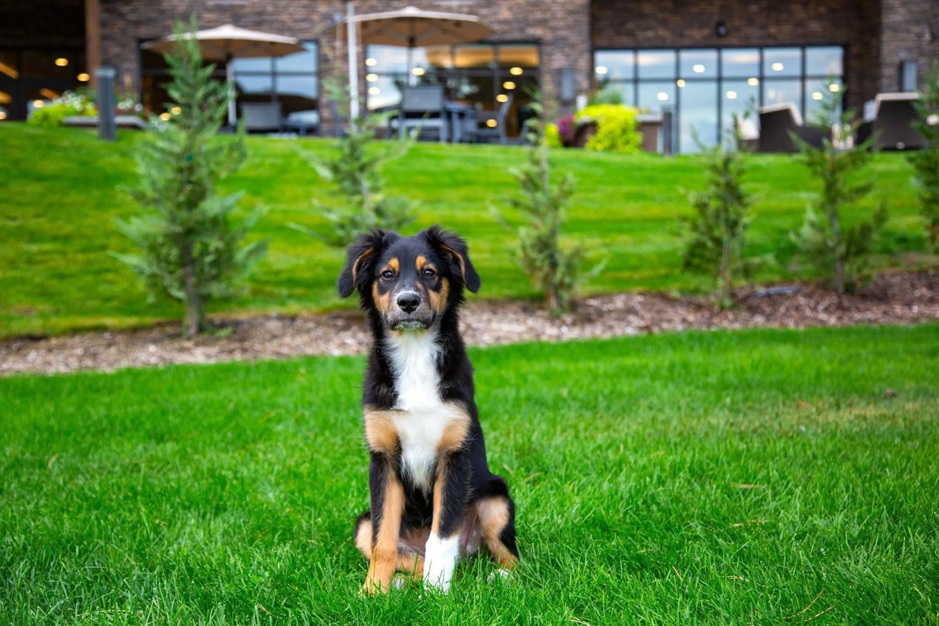 Other in Residence Inn by Marriott Wenatchee