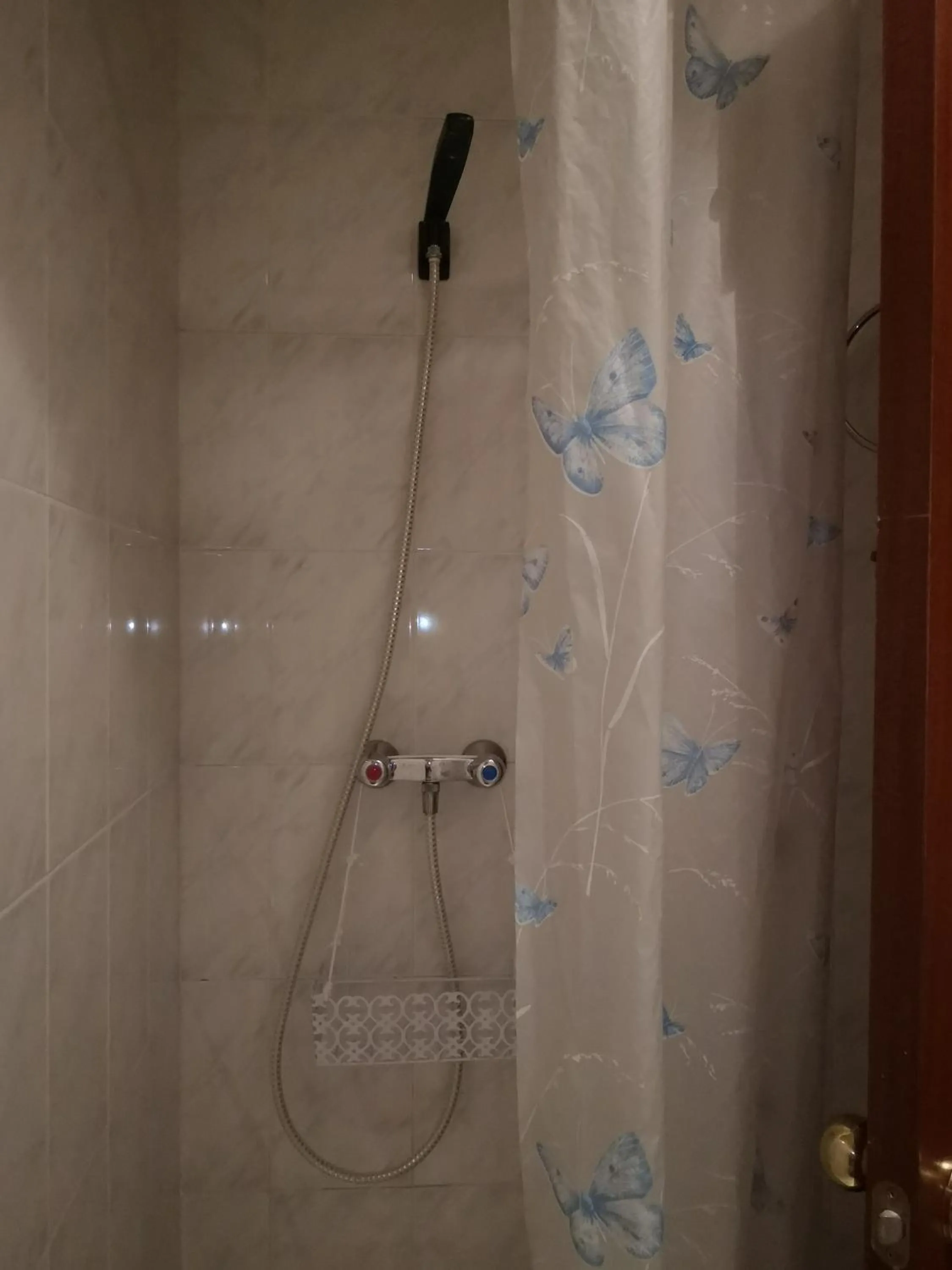 Shower in LLOGUER30 Apartamento Lotus, piscina y parquing