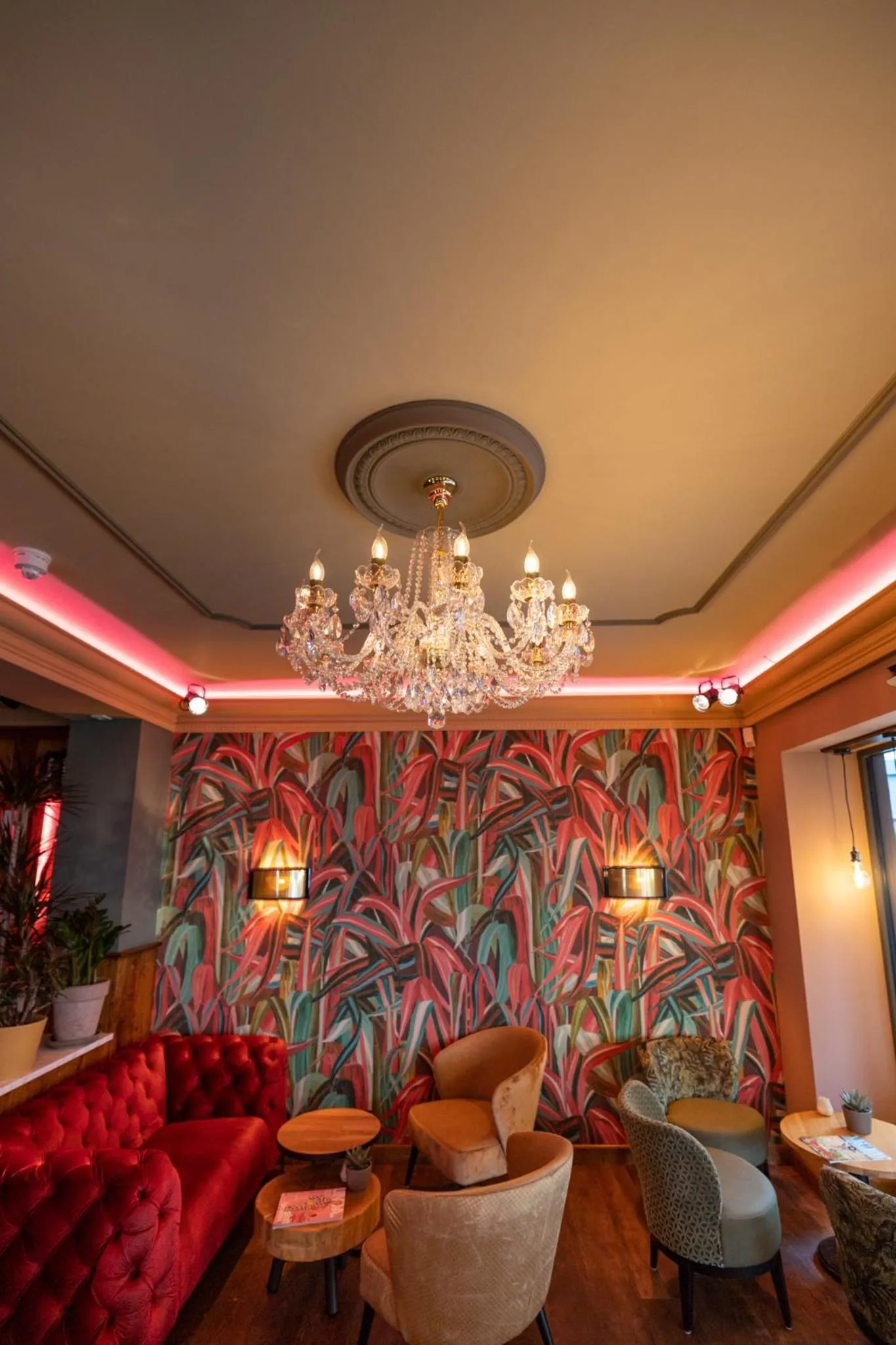 Lounge or bar in Anna van Chiel