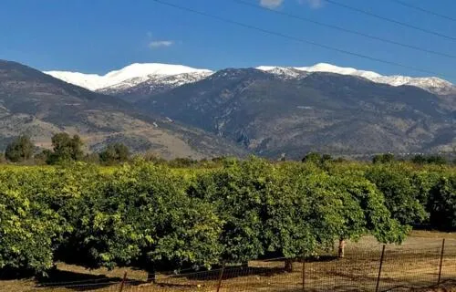 Suites in the Galilee