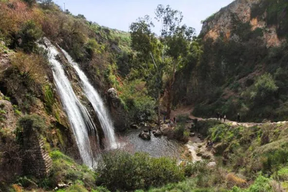 Suites in the Galilee