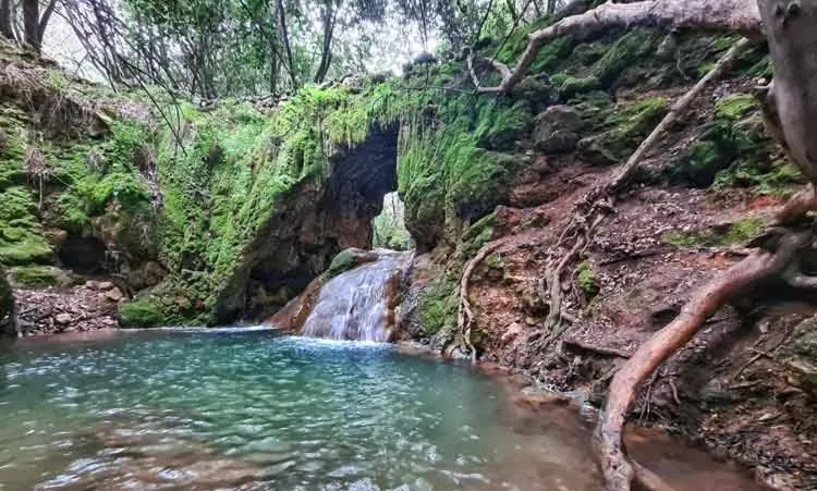 Suites in the Galilee