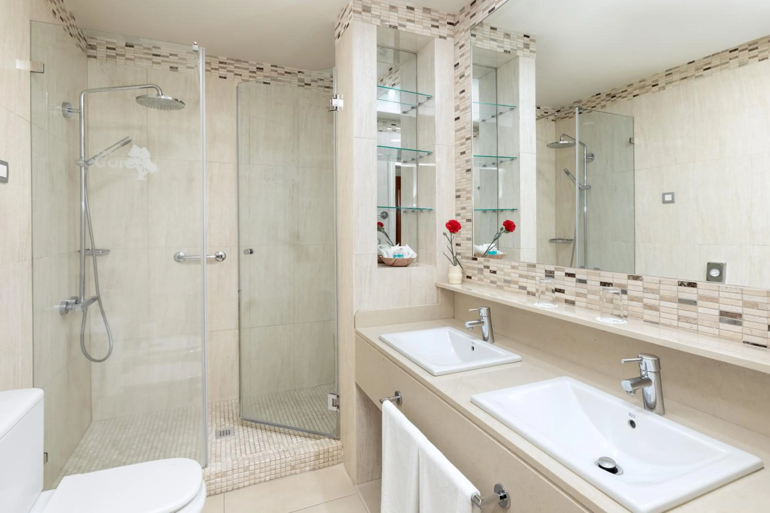 Shower in Hotel RIU Garoé