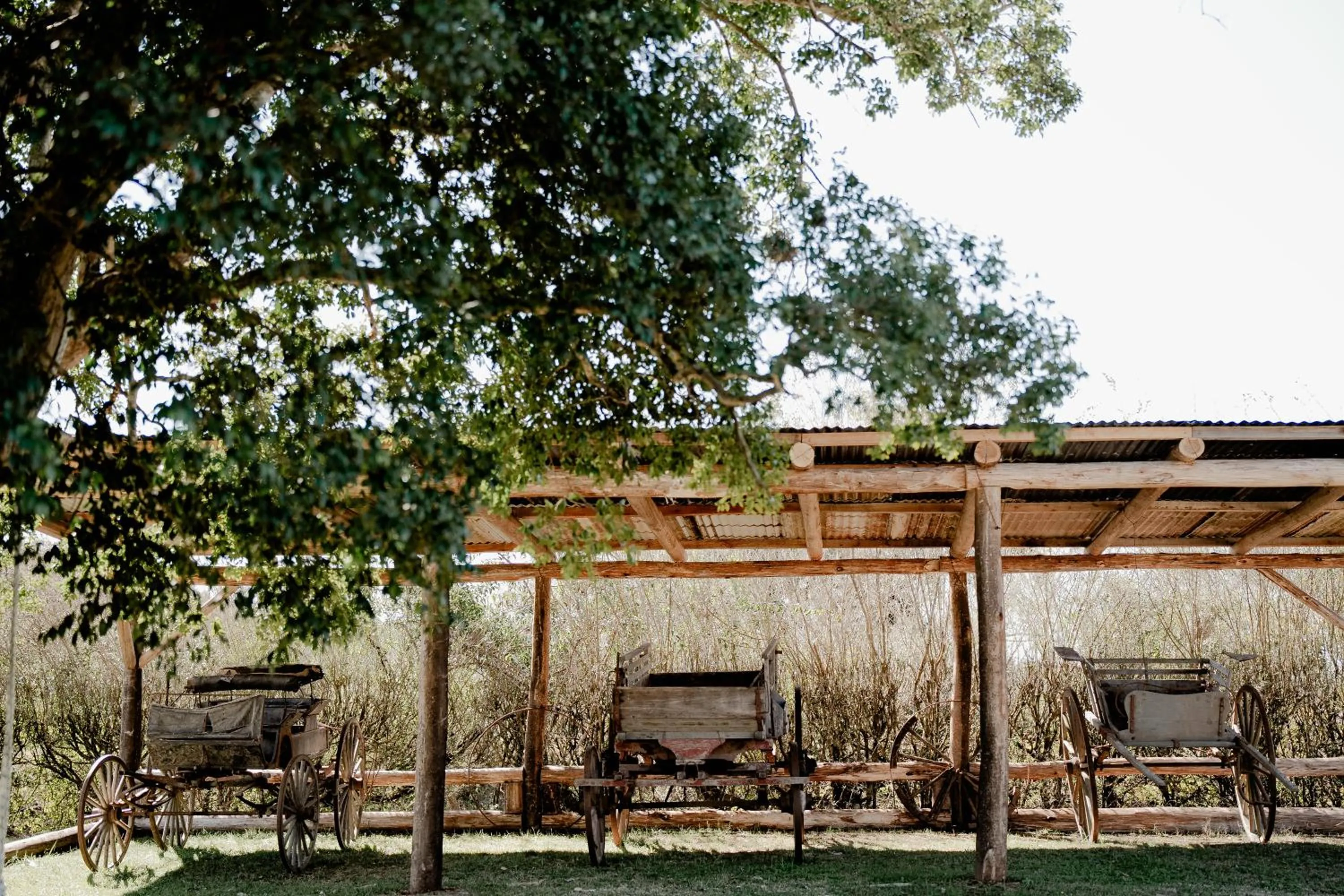 Landmark view in MUMA Hotel - Museo de la Madera