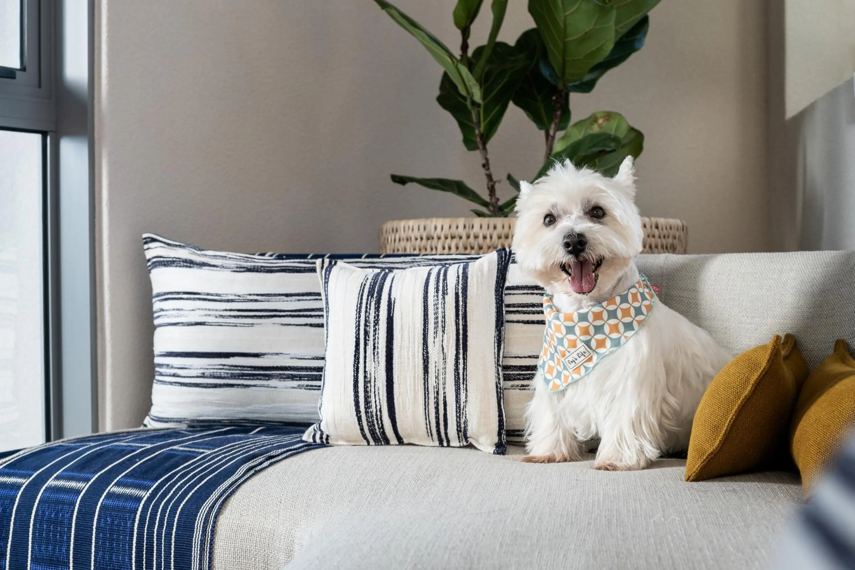 Seating area in Home Suite Hotels Sea Point