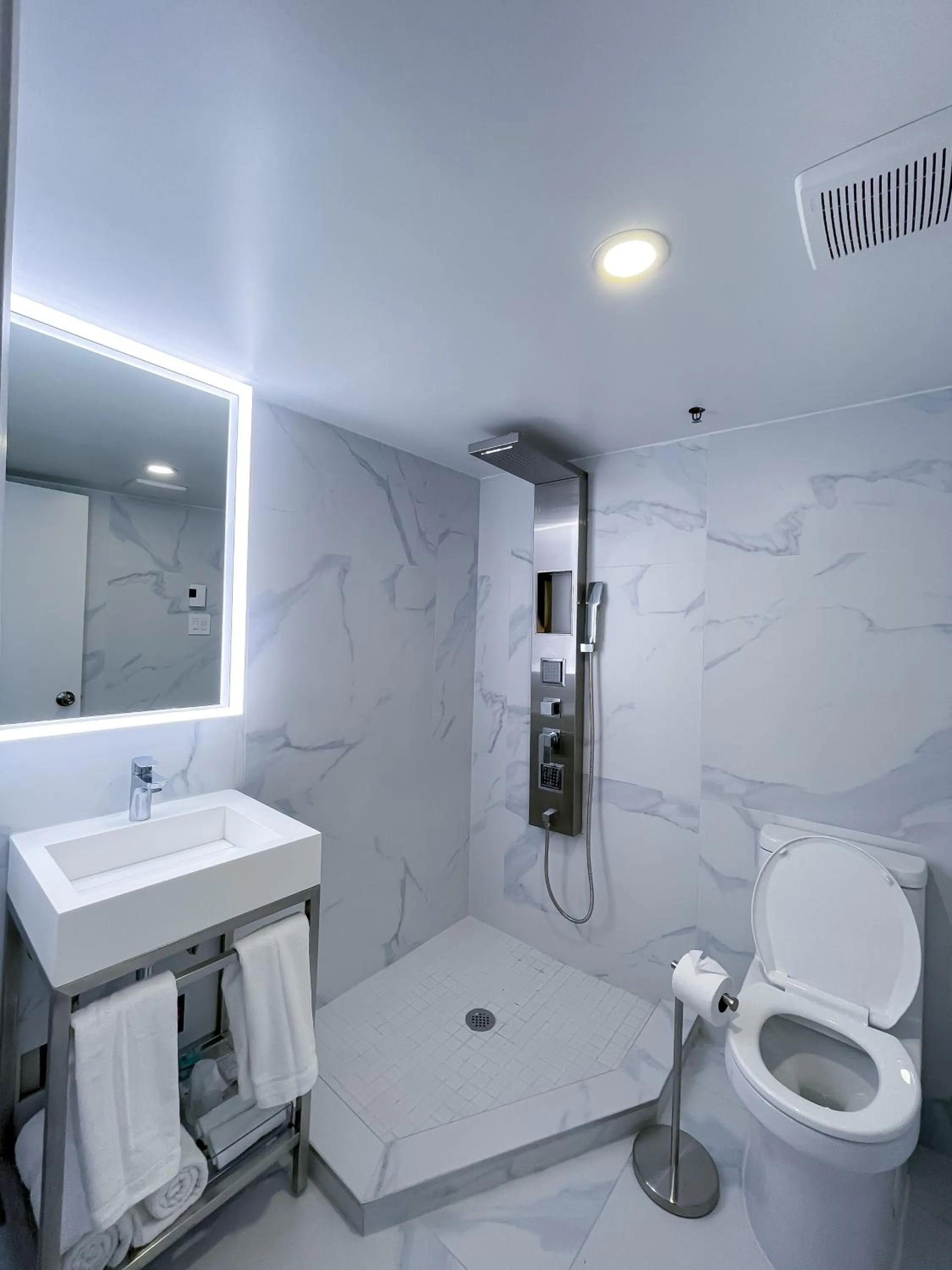 Shower in Hotel Saint-Andre