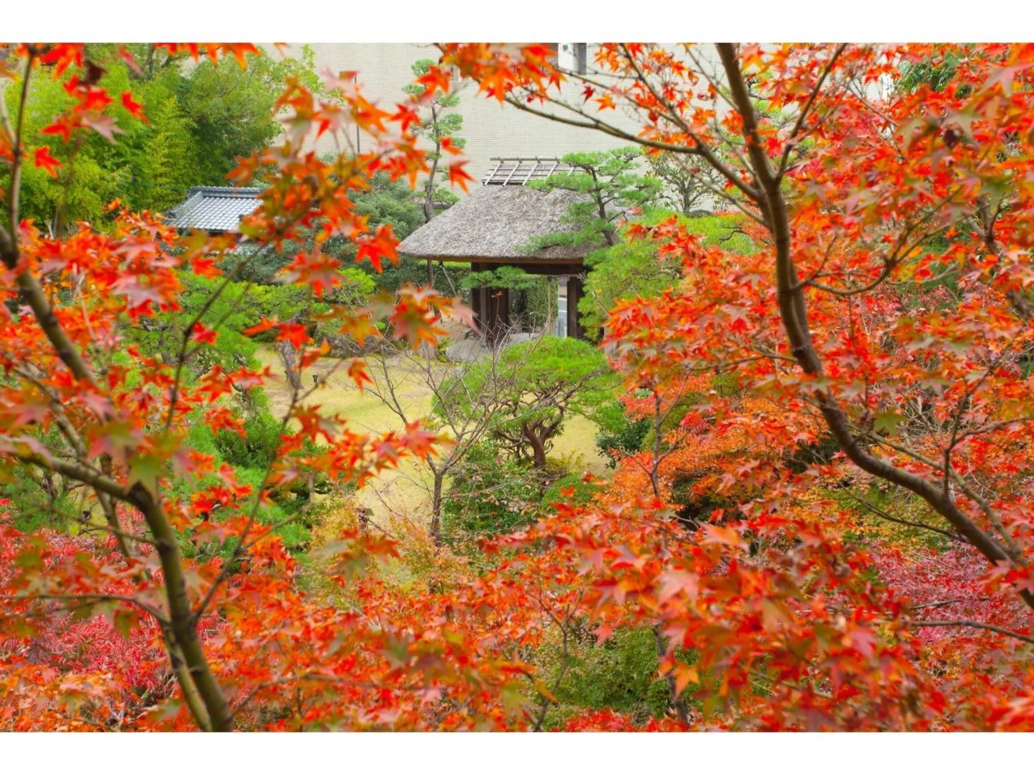 Dogo Onsen Funaya - Vacation STAY 54201v