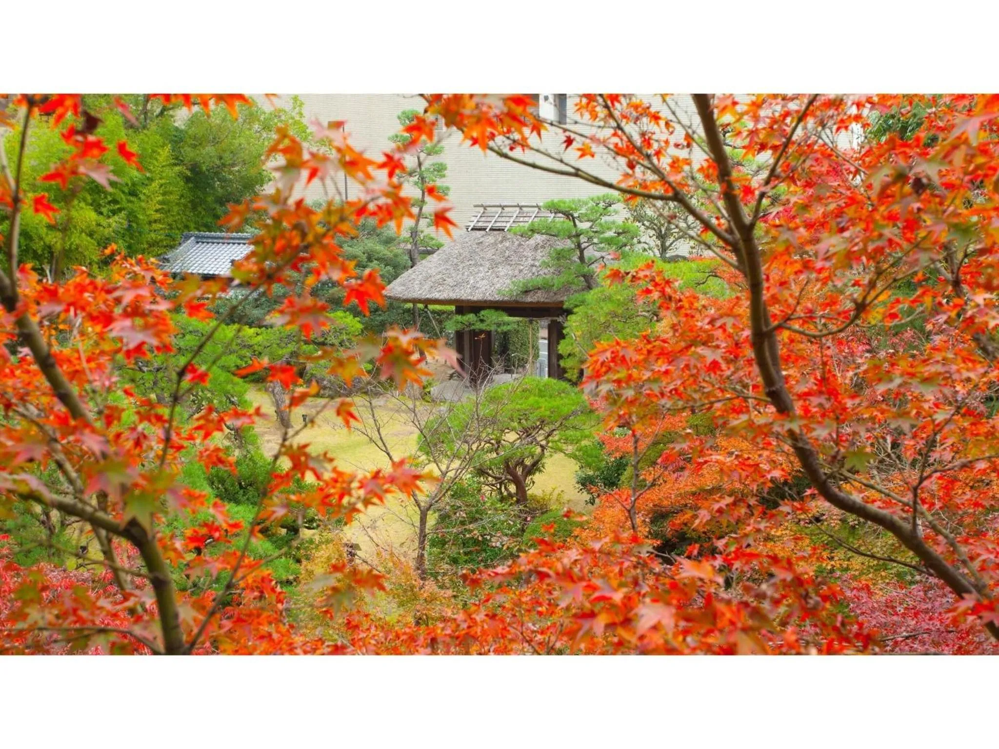 Dogo Onsen Funaya - Vacation STAY 54212v