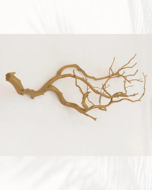 Decorative detail in Oyster Bay Boutique Hotel