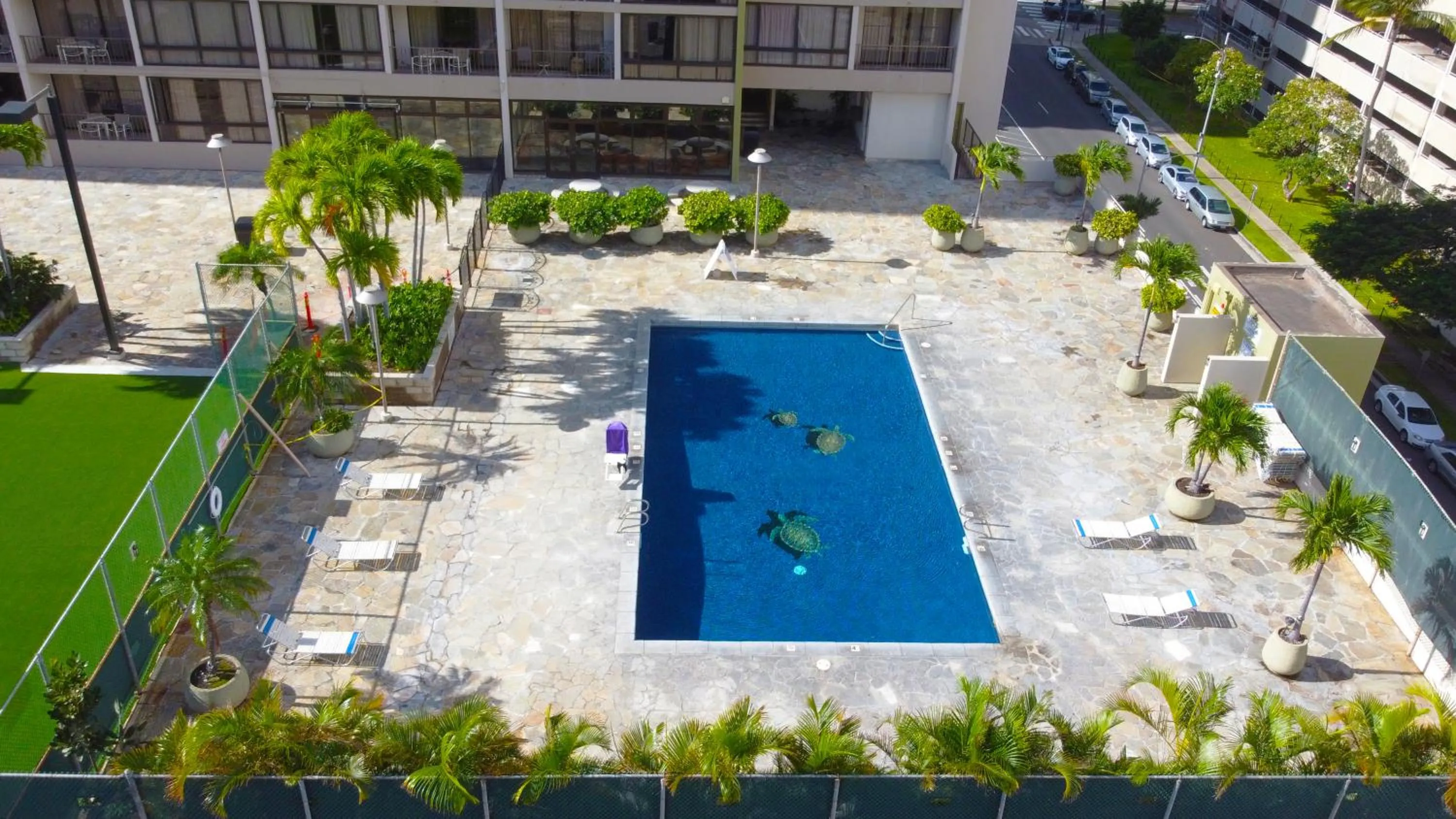 Swimming pool in Diamond Head View Close to Waikiki Beach with Parking