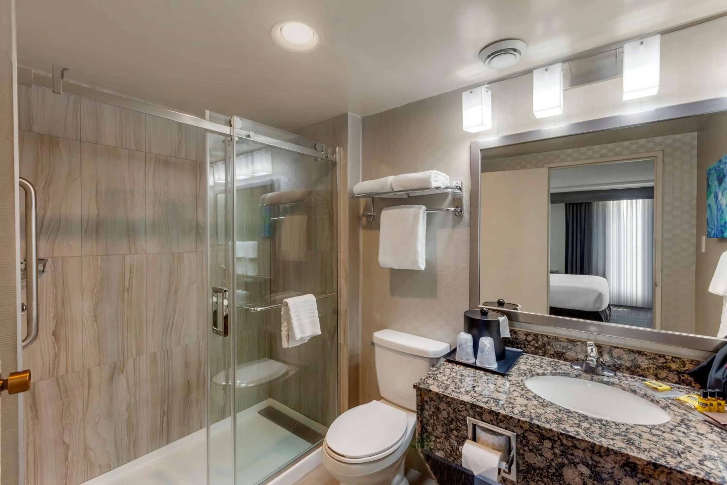 Bathroom in Best Western Plus Toronto Airport Hotel