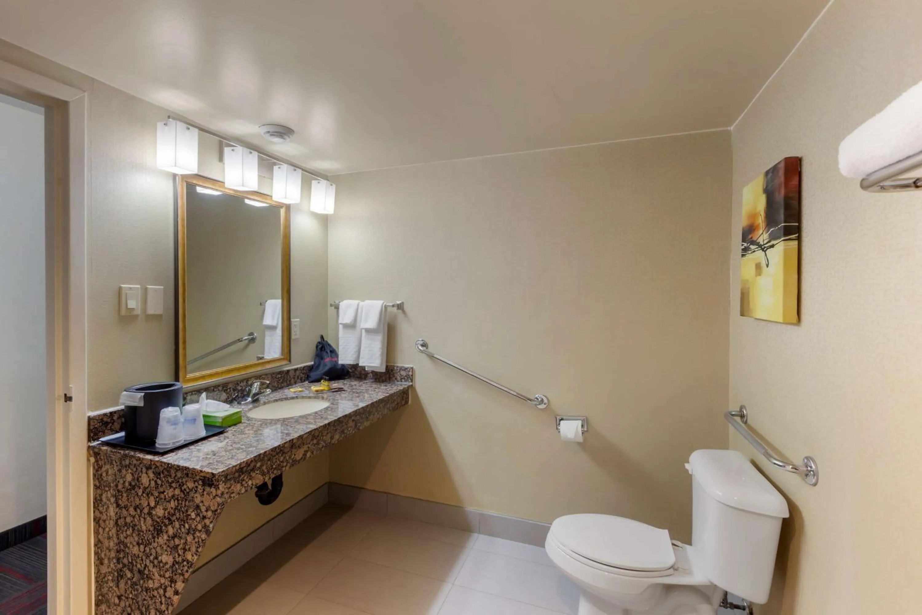 Bathroom in Best Western Plus Toronto Airport Hotel