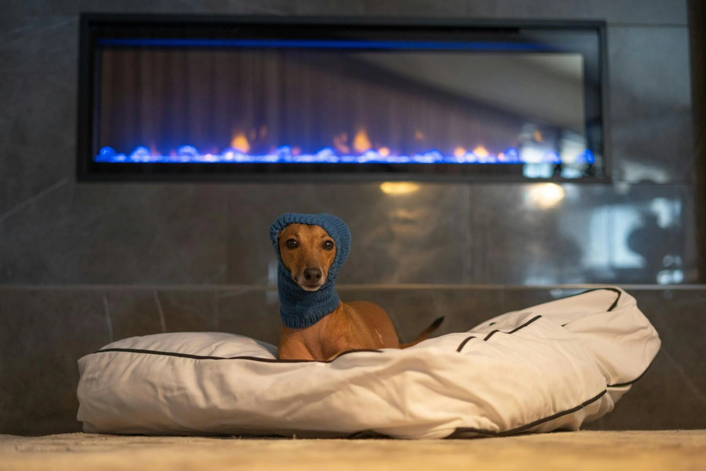 Other in The Westin Harbour Castle, Toronto