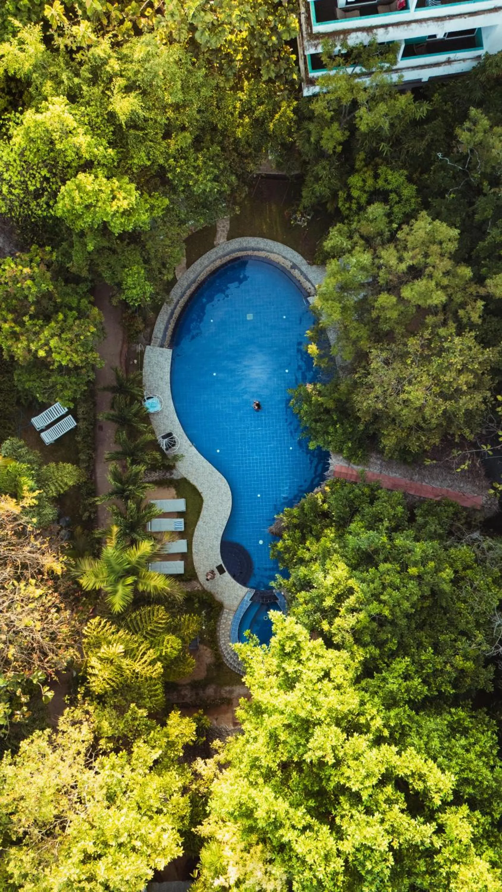 Swimming pool, Pool View in Sundaras Resort & Spa Dambulla