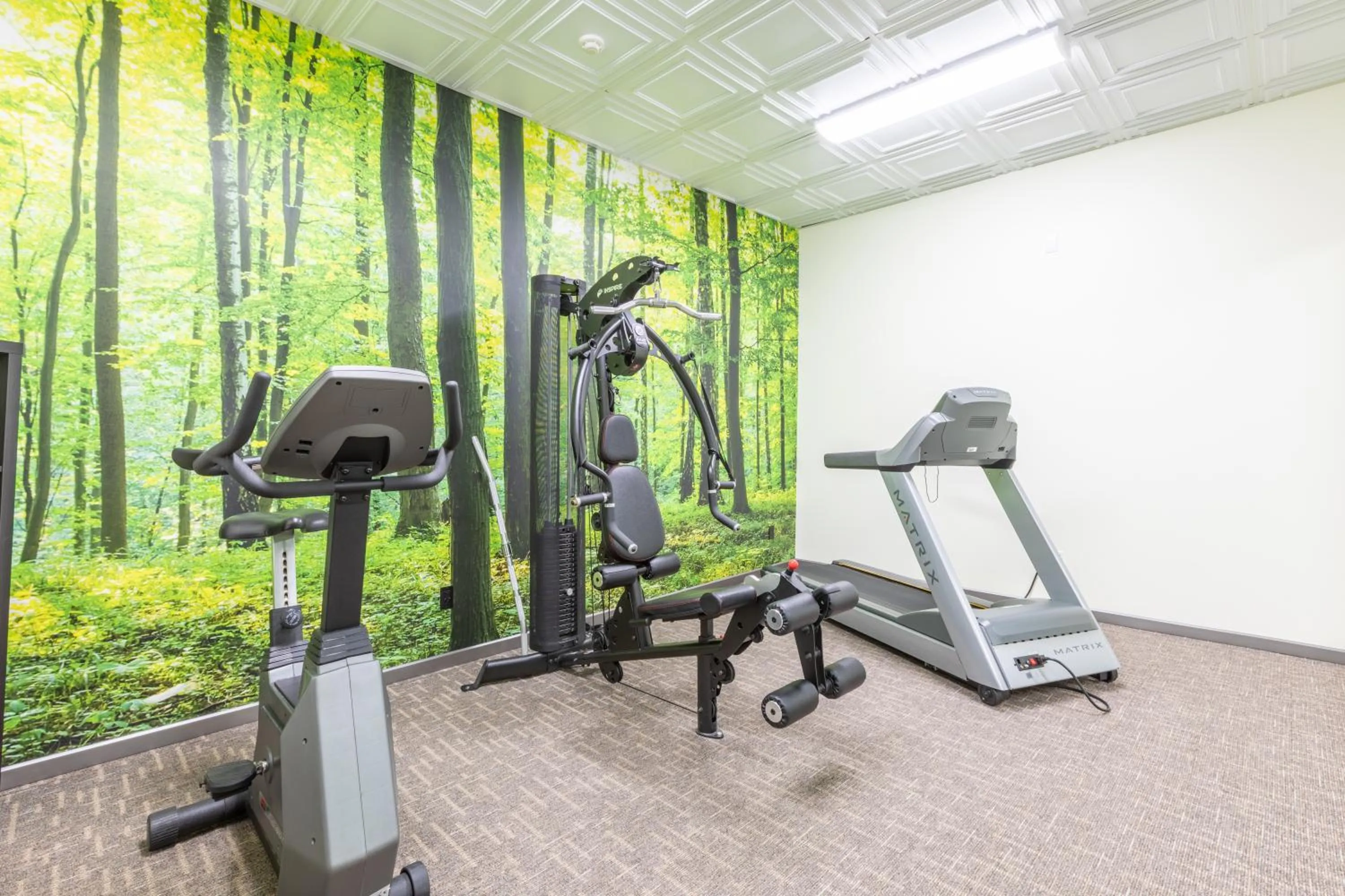 Fitness centre/facilities in Hôtel WelcomInns