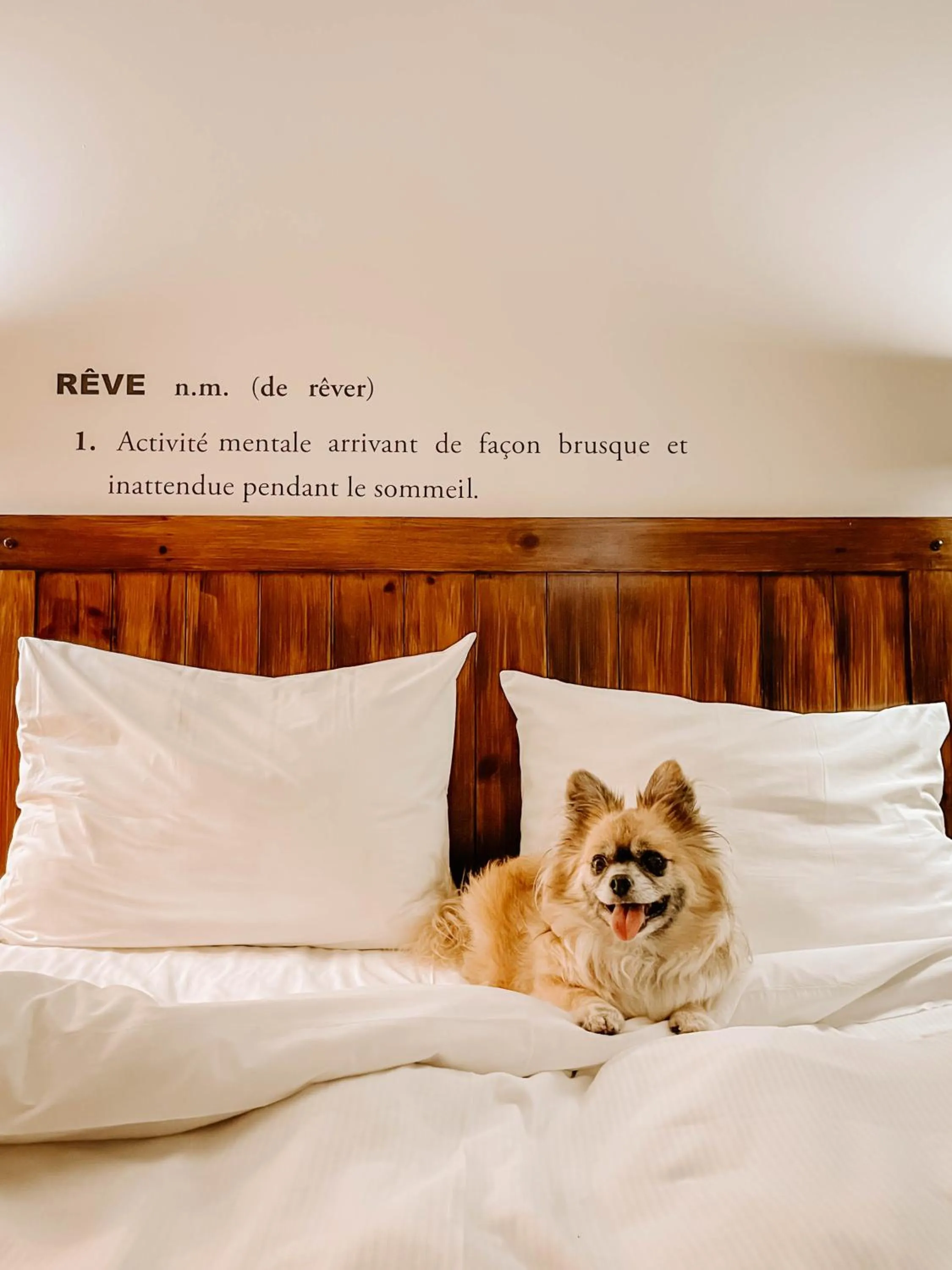 Pets, Bed in Auberge du Lac Taureau et Condos