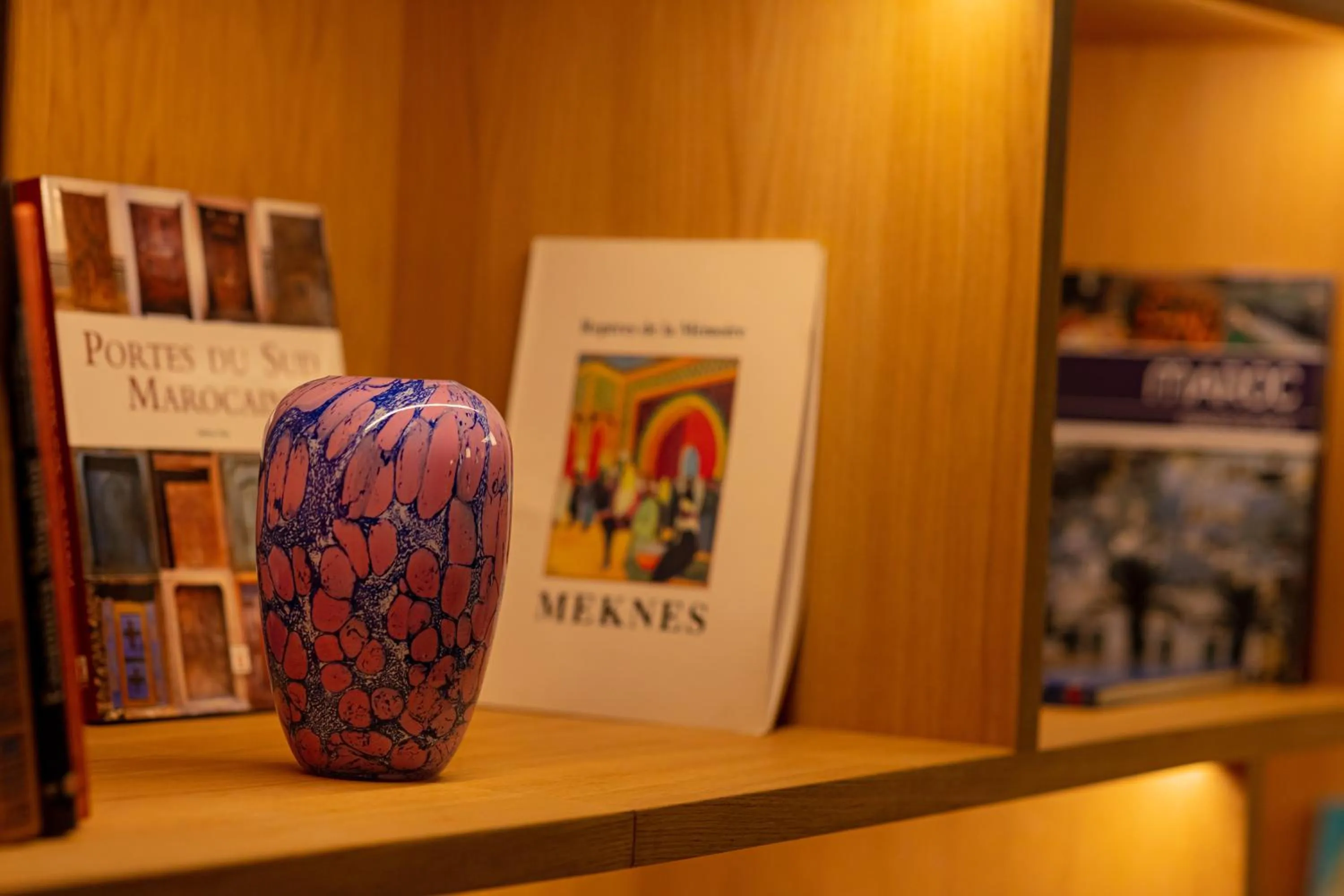 Library in Hotel Jadali & Spa