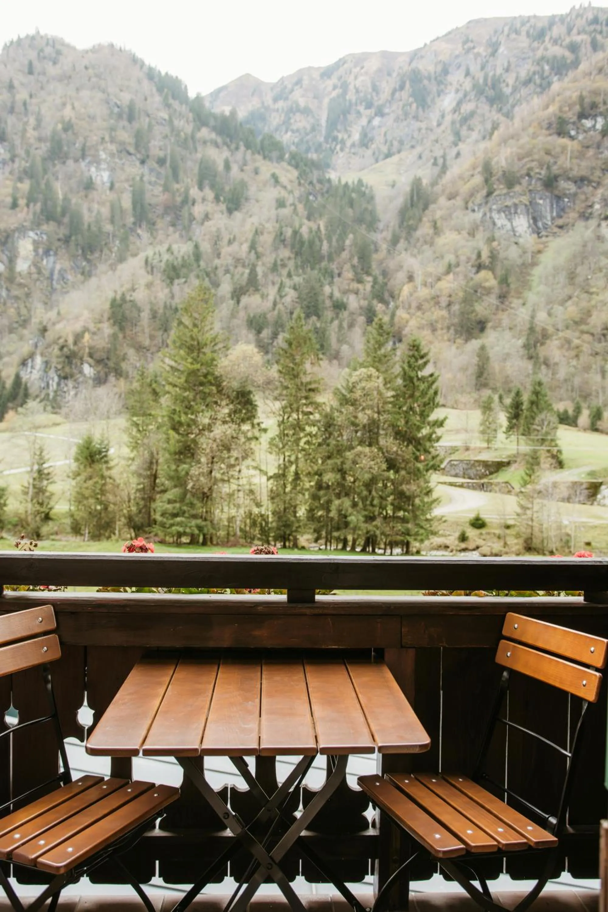 View (from property/room) in Pension Baranekhof - accommodation in nature - Baranek Resorts