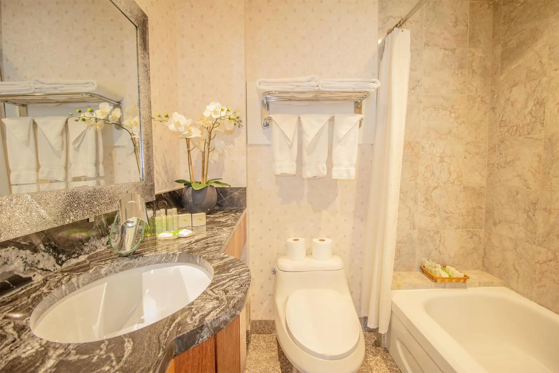 Shower in Parc Suites Hotel