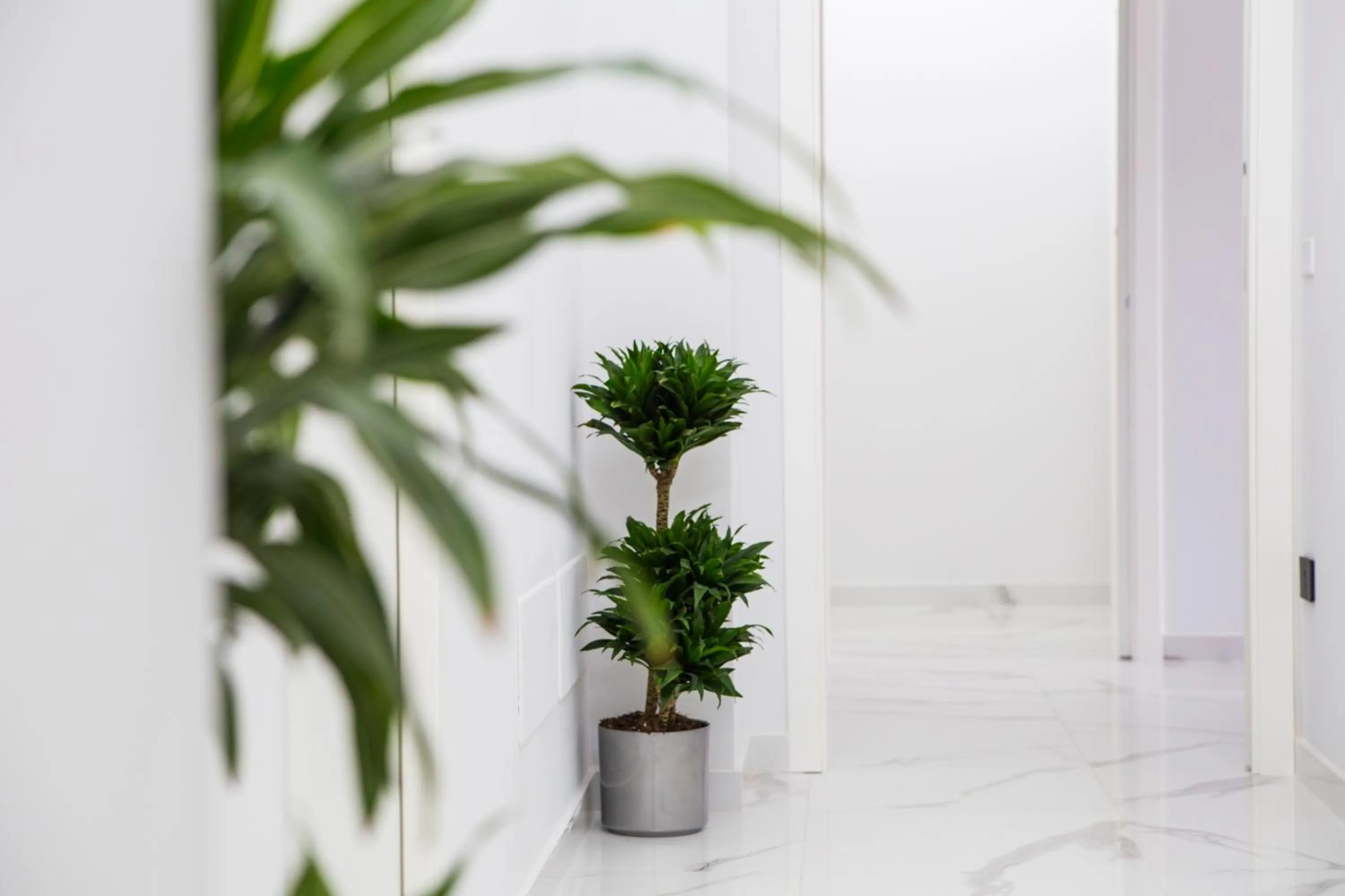 Decorative detail in Maison de Julia Pompei