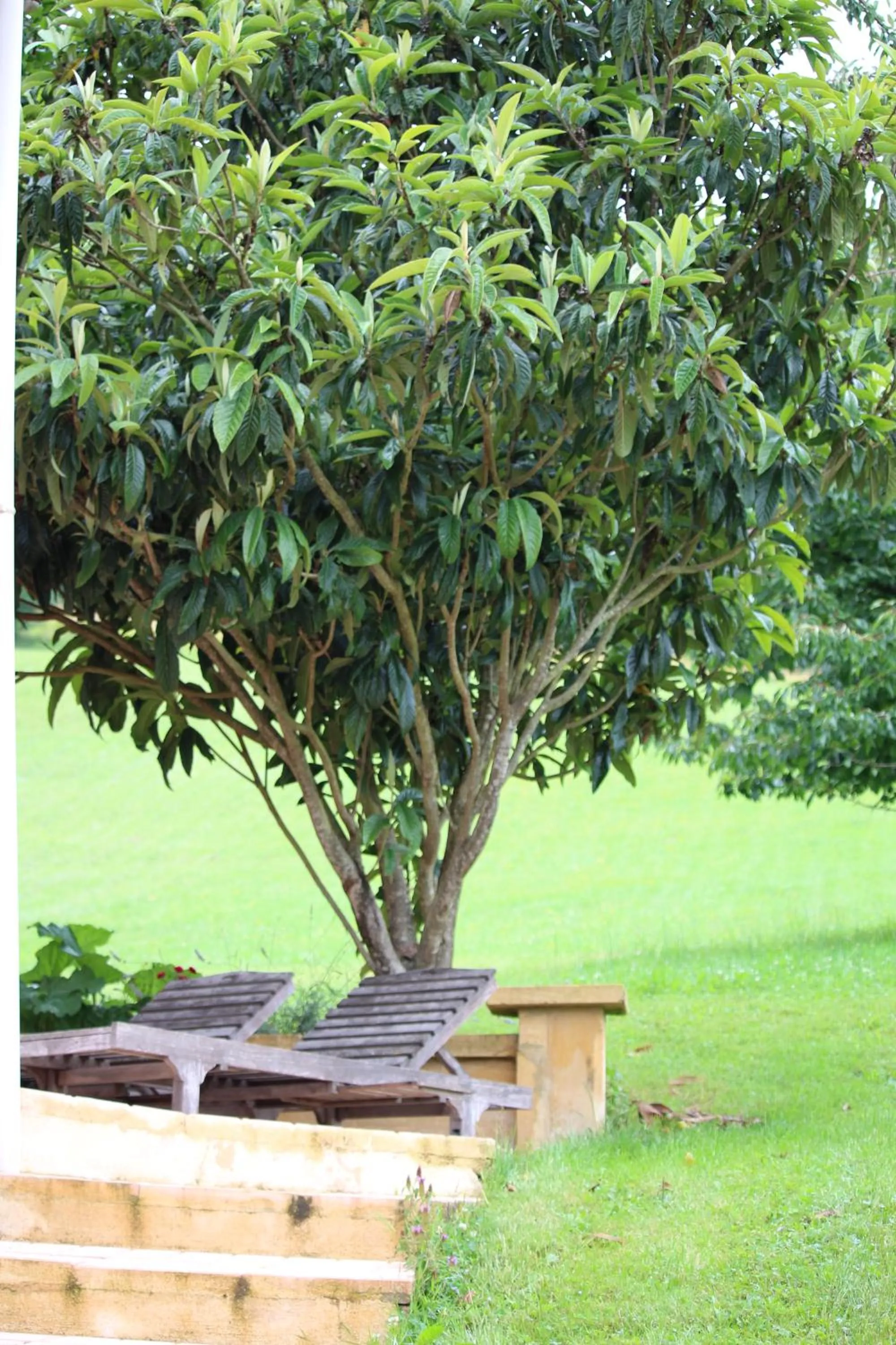 Garden in La Maison Thimadaise