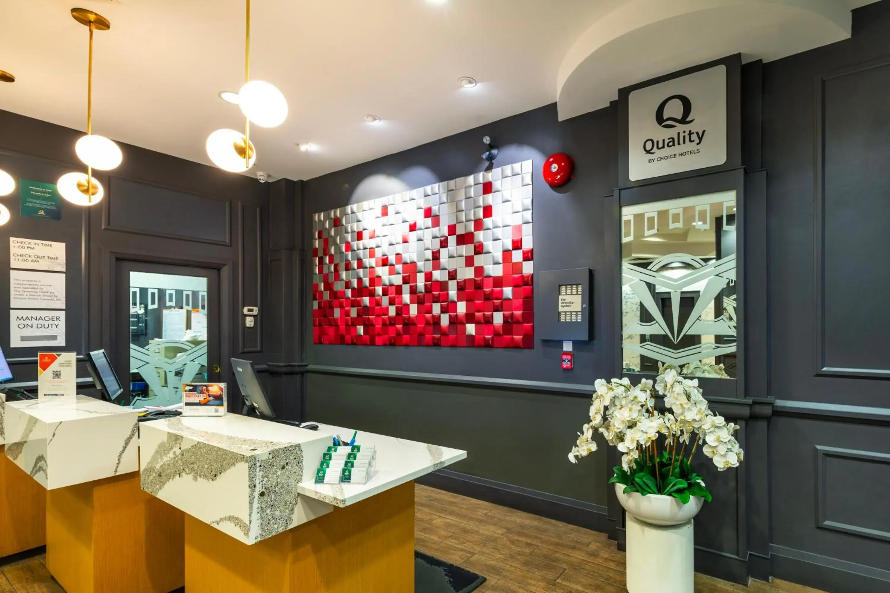 Property building in Quality Inn & Suites Property building in Quality Inn & Suites