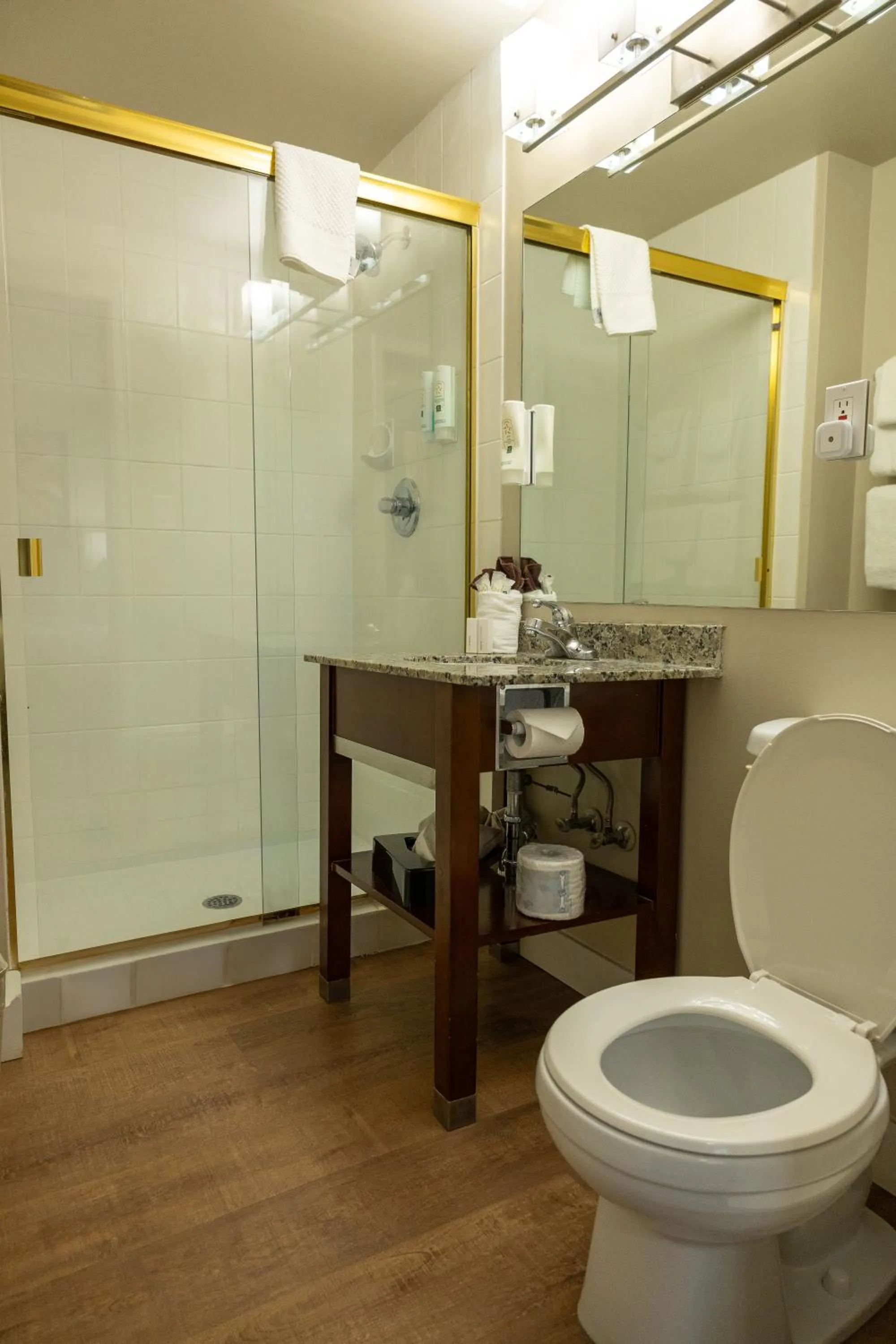 Shower in Quality Inn & Suites