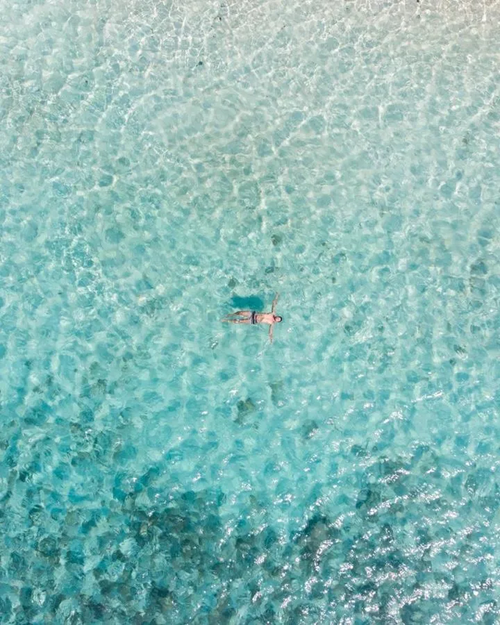 Natural landscape in Pelican Beach Resort South Water Caye