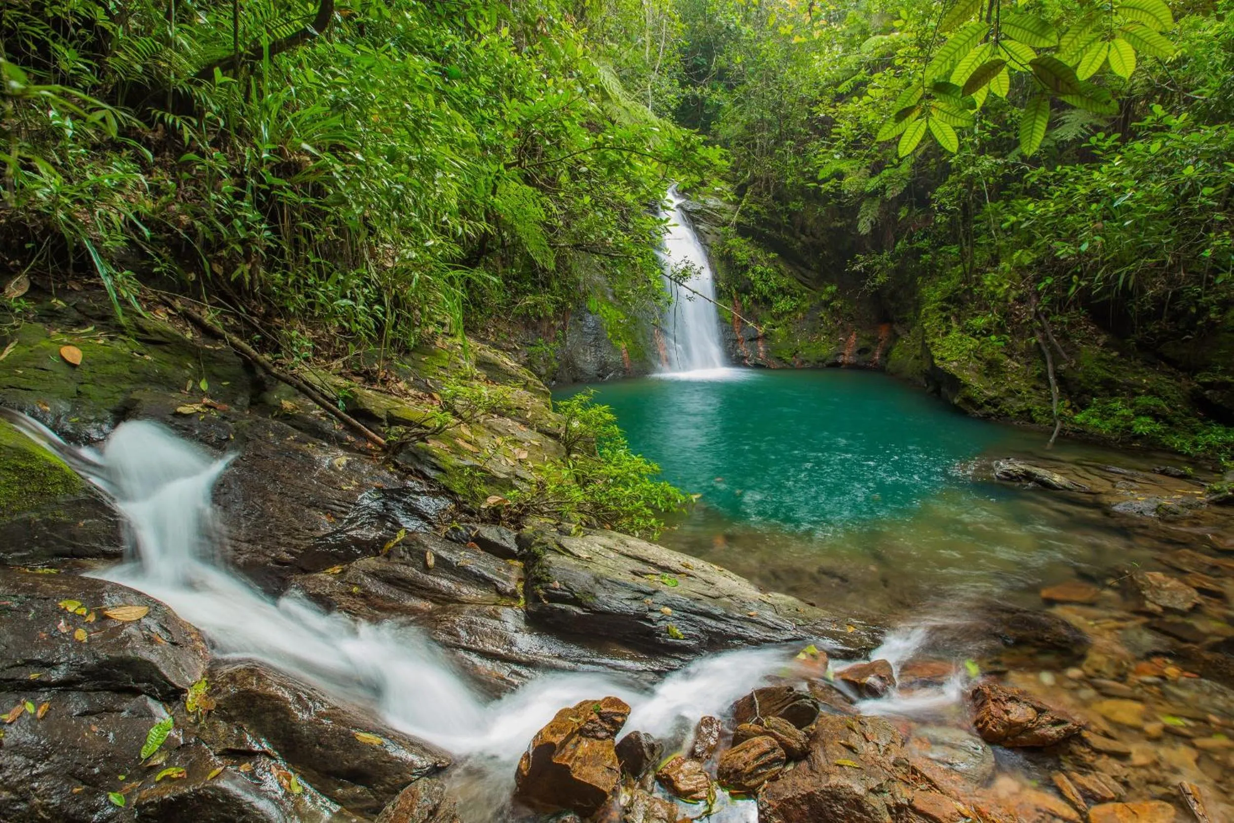 Natural landscape in Pelican Beach Resort South Water Caye