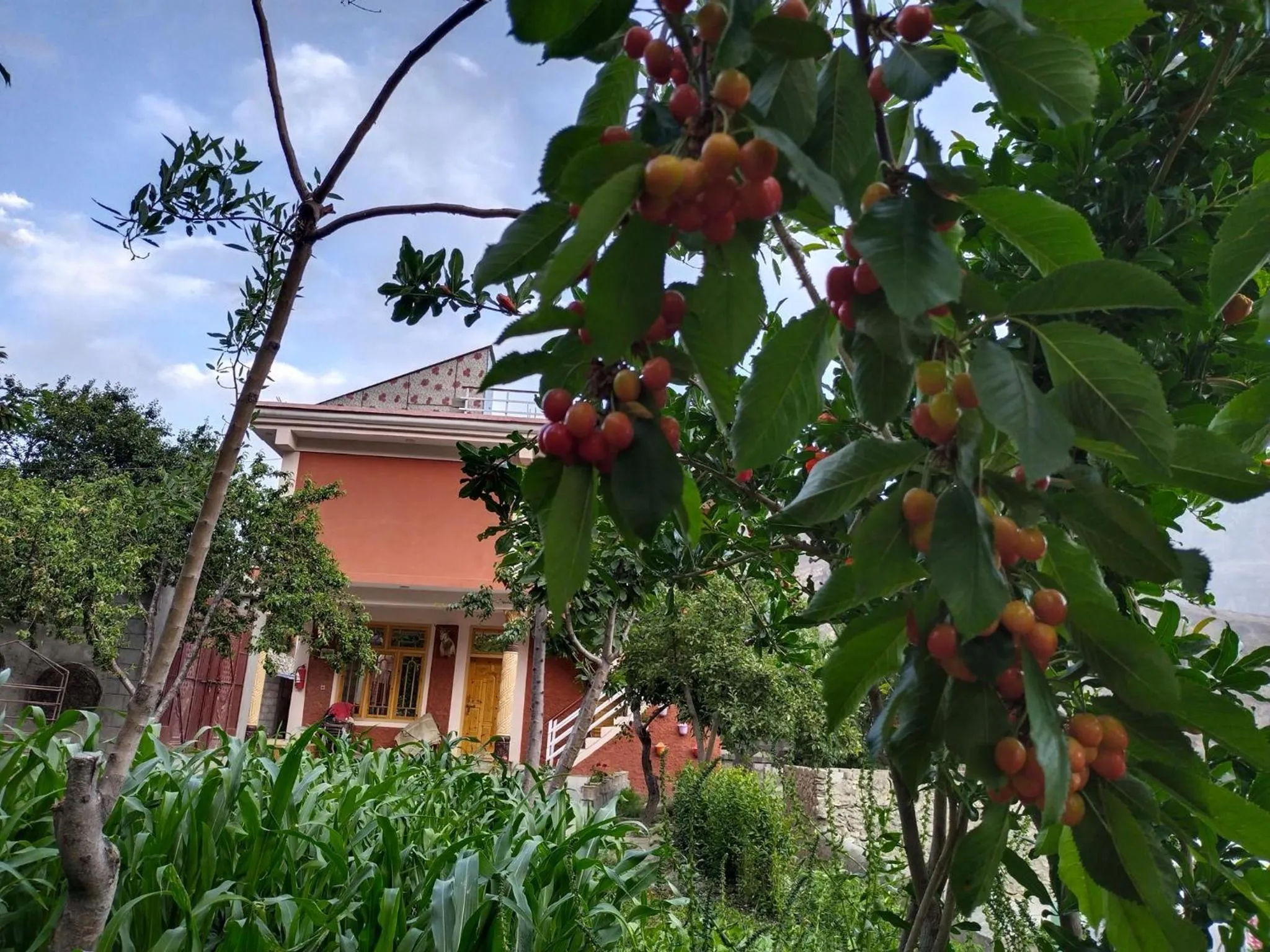 MasakAli Family Guest House