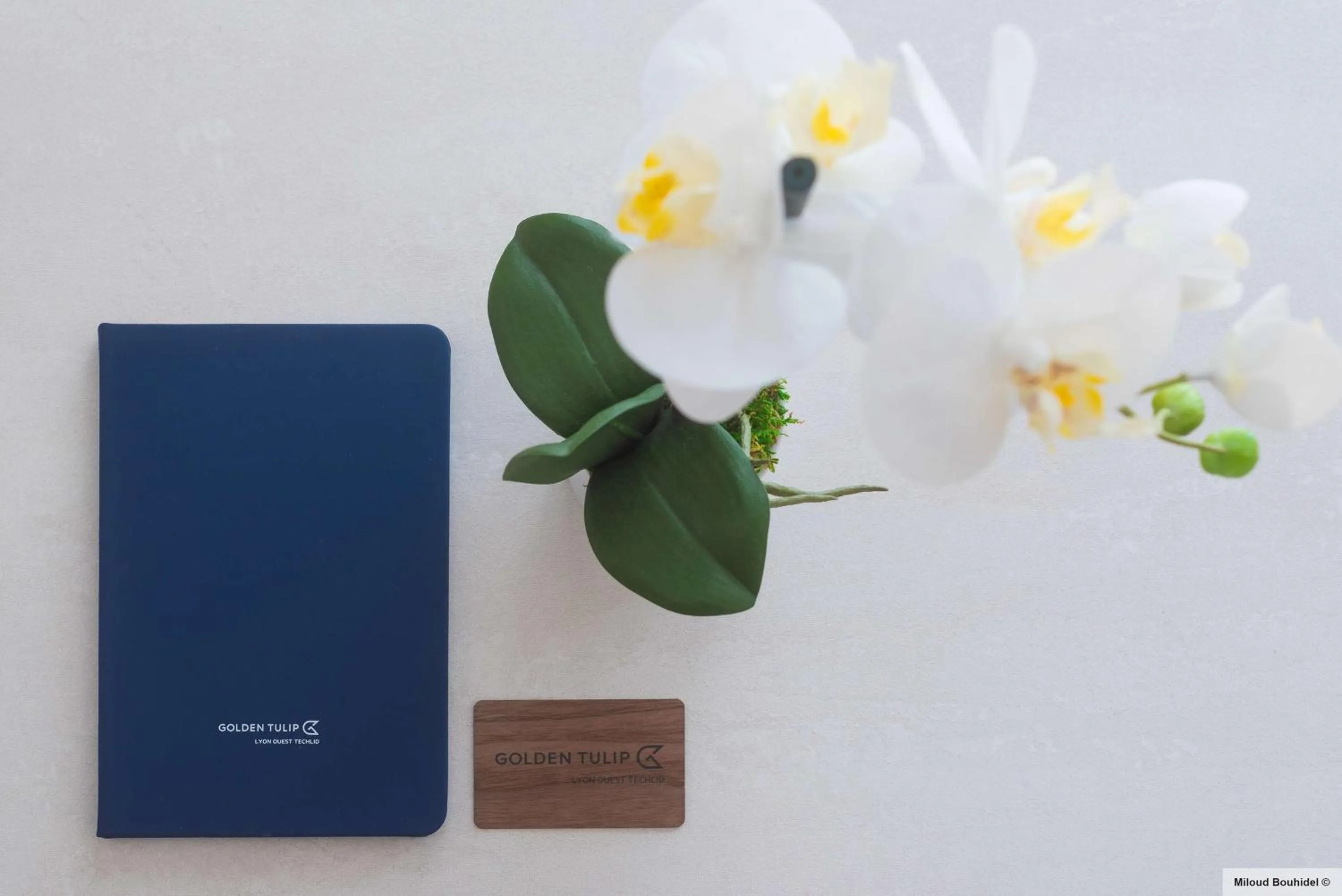 Other in GOLDEN TULIP LYON OUEST TECHLID Hotel & Spa