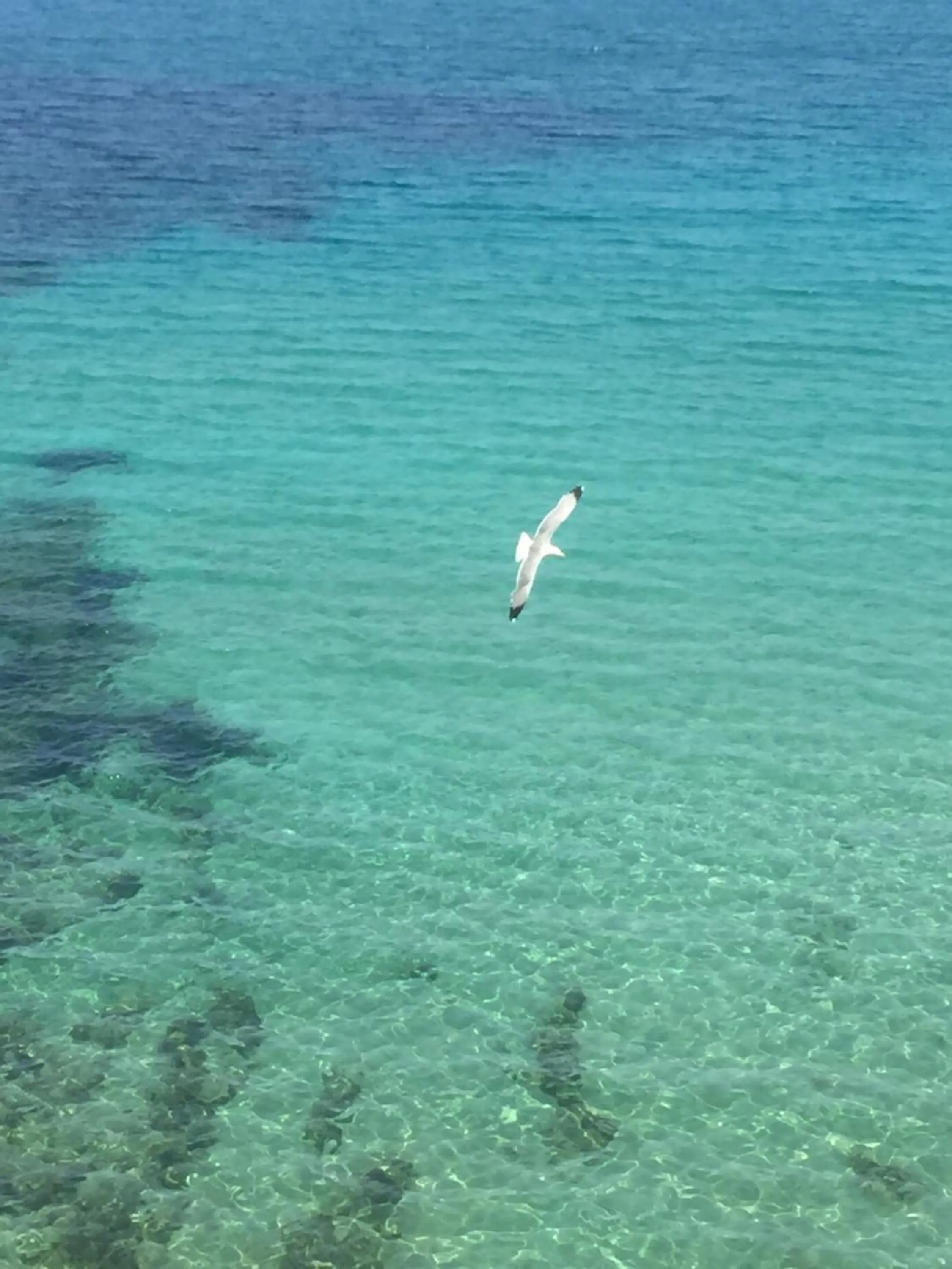 Sea view in SOL Y MAR Camere e Appartamenti