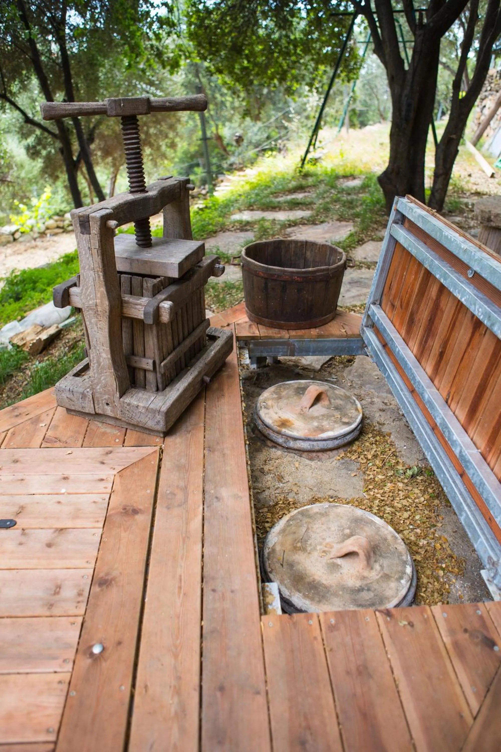 Garden in Captain Ikaros