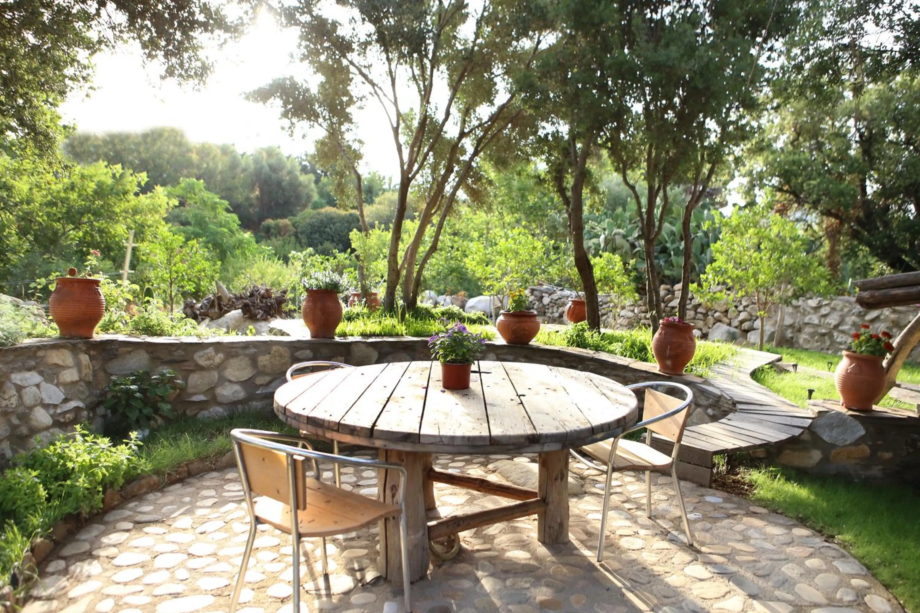 Garden in Captain Ikaros