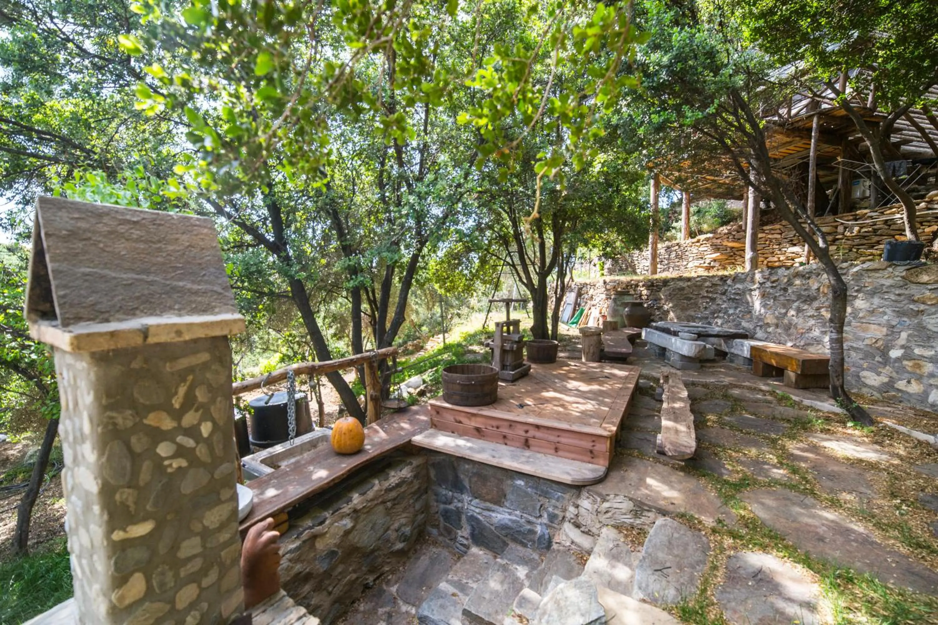 Garden in Captain Ikaros