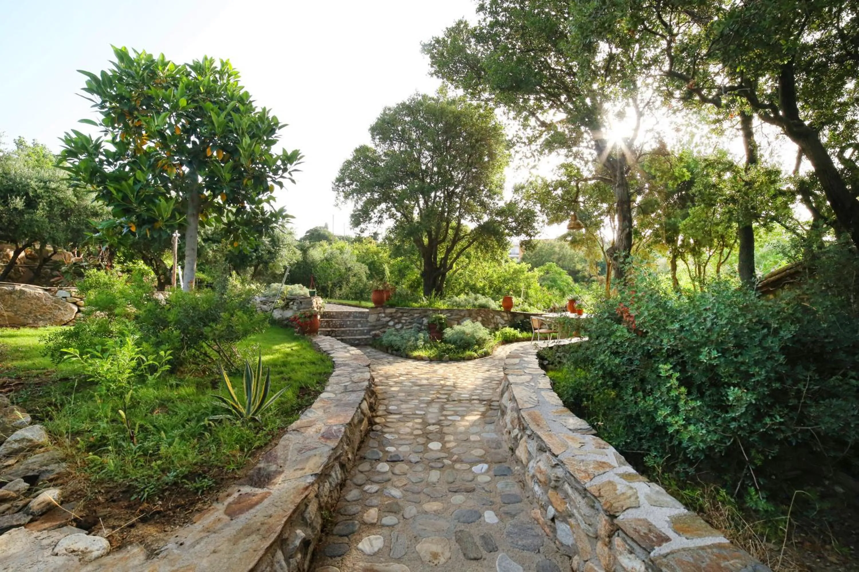 Natural landscape in Captain Ikaros