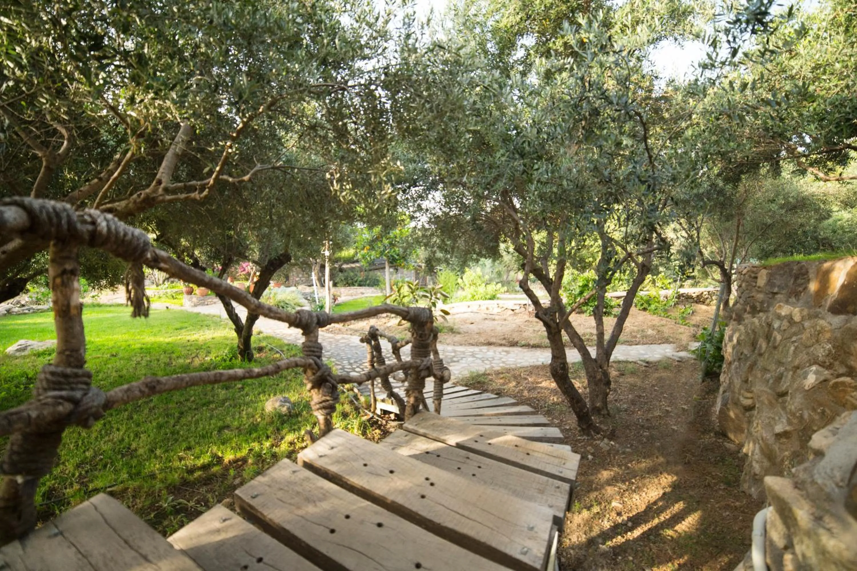 Natural landscape in Captain Ikaros