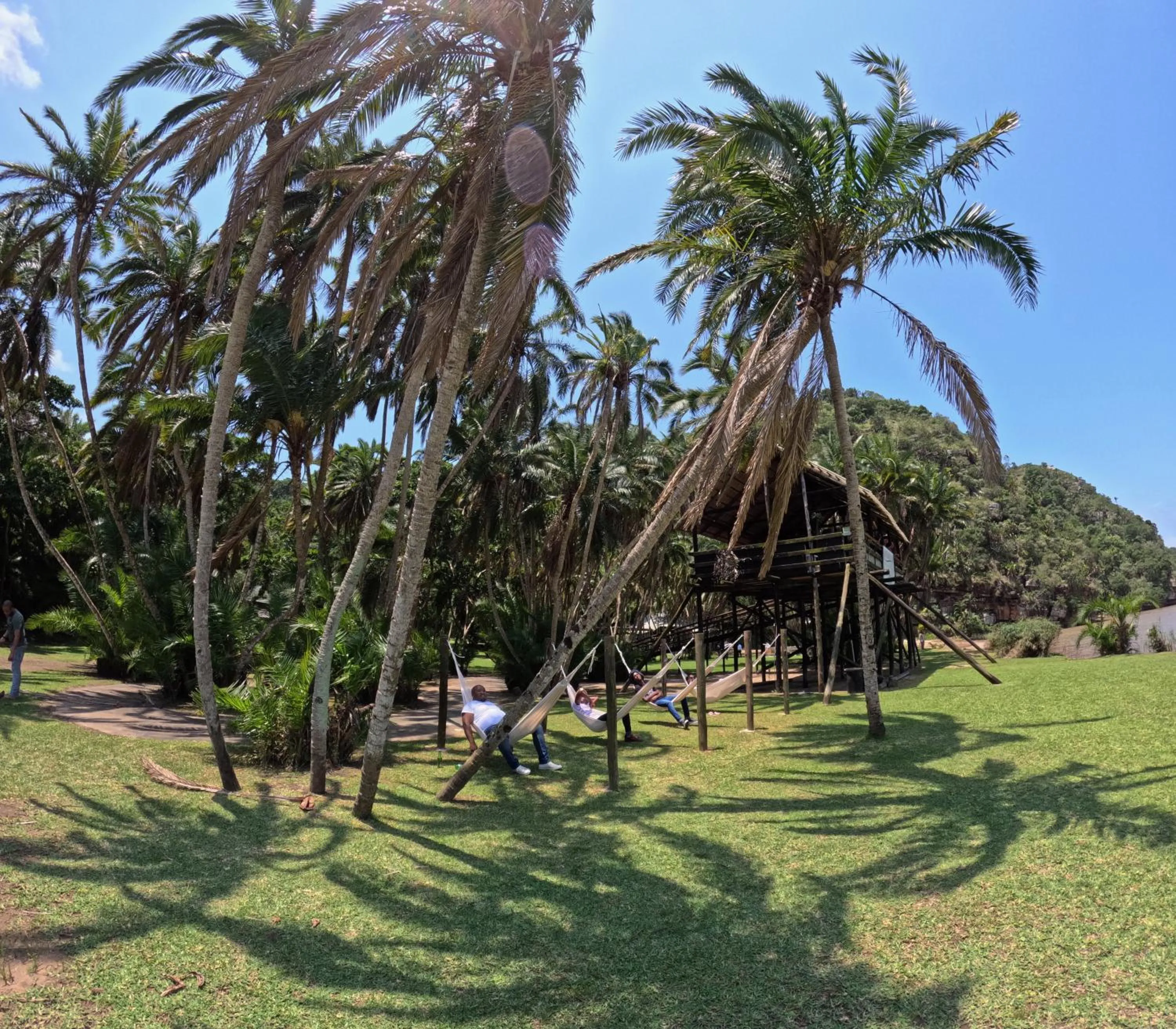 Garden in Umtamvuna River Lodge