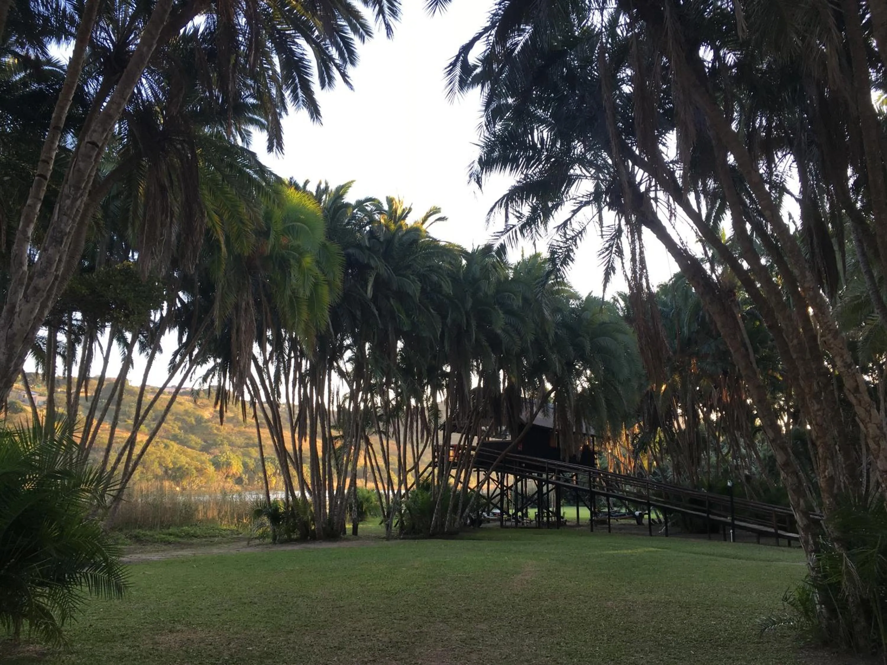 Garden in Umtamvuna River Lodge