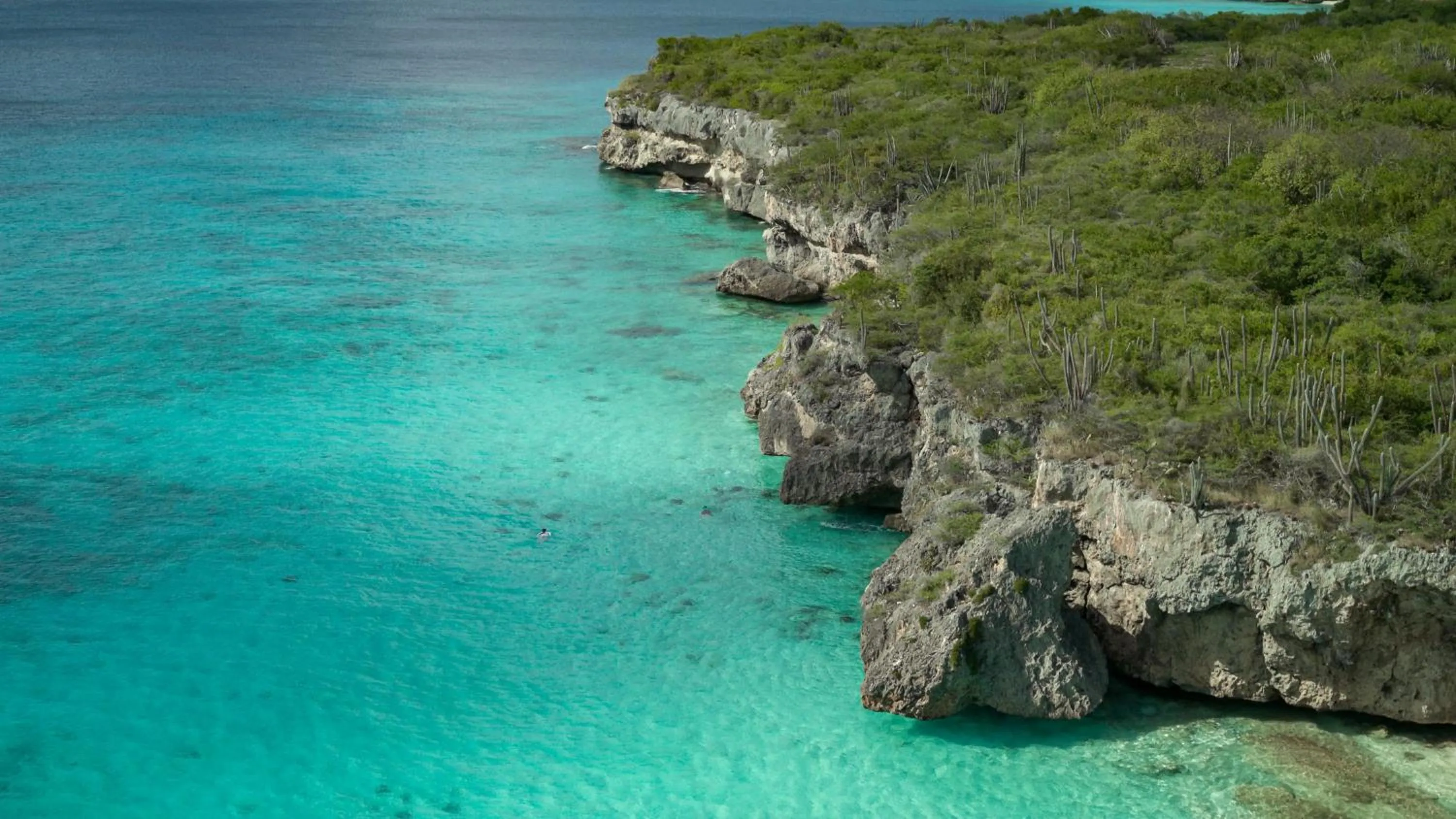 Beach in Sandals Royal Curacao All Inclusive Couples Only