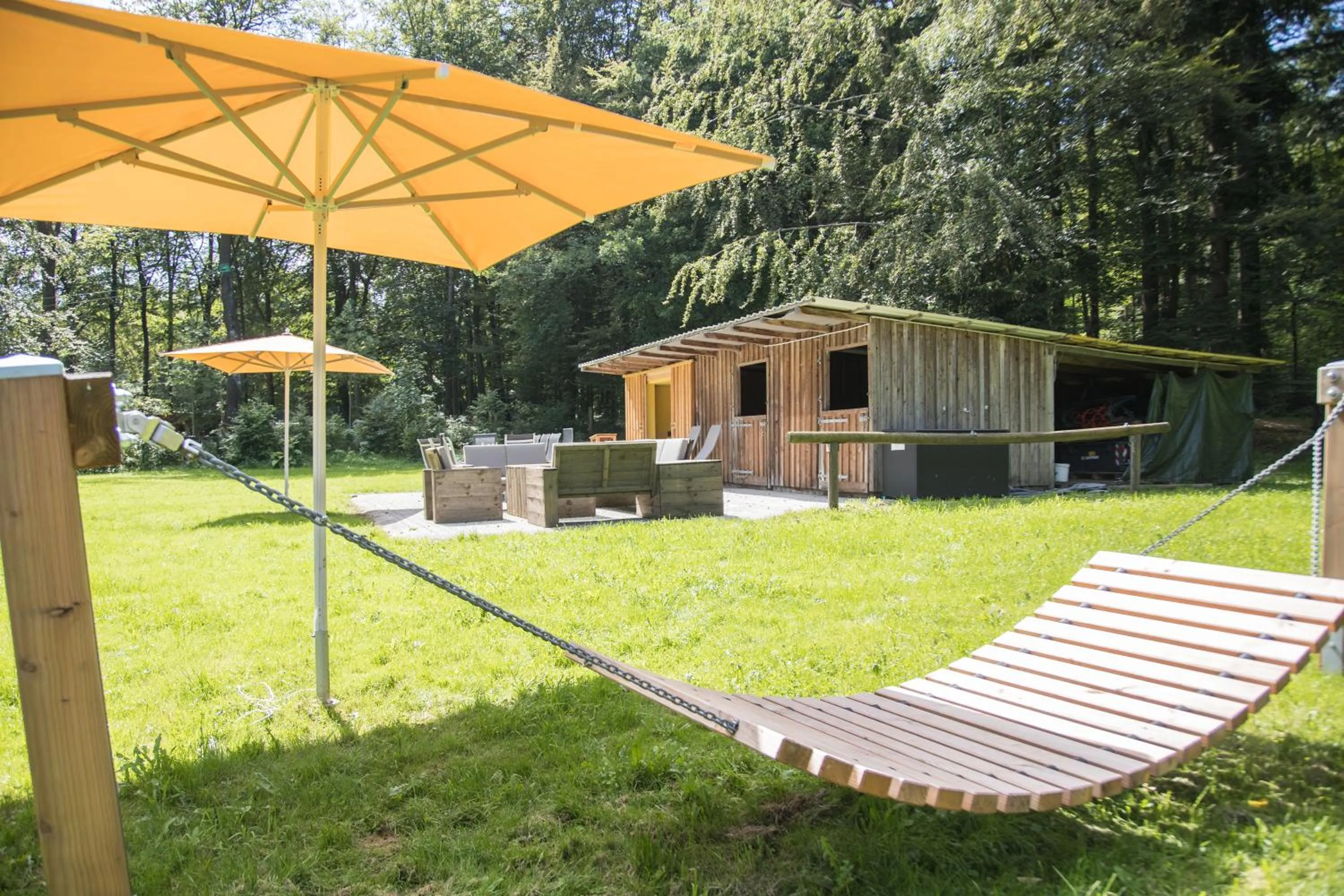 Natural landscape in St. Bonifatius