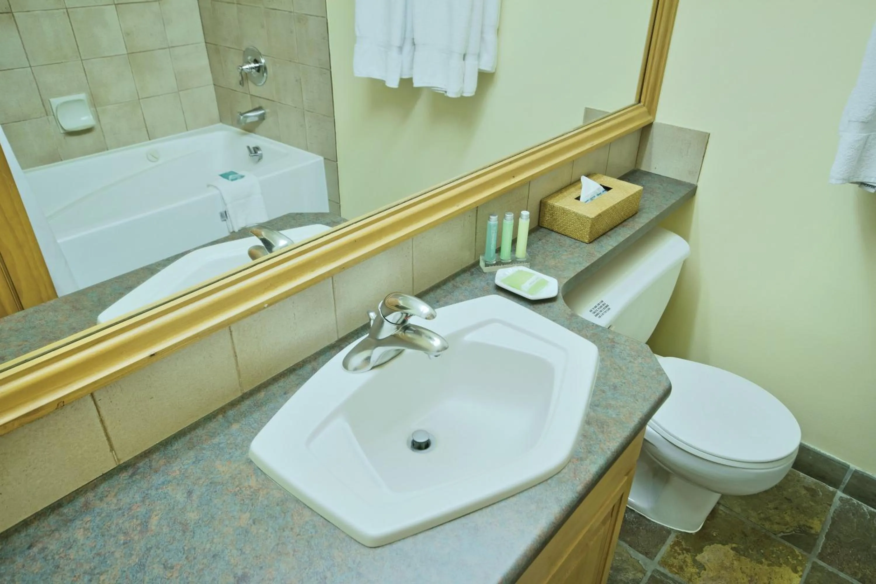 Photo of the whole room in Mountainside Lodge