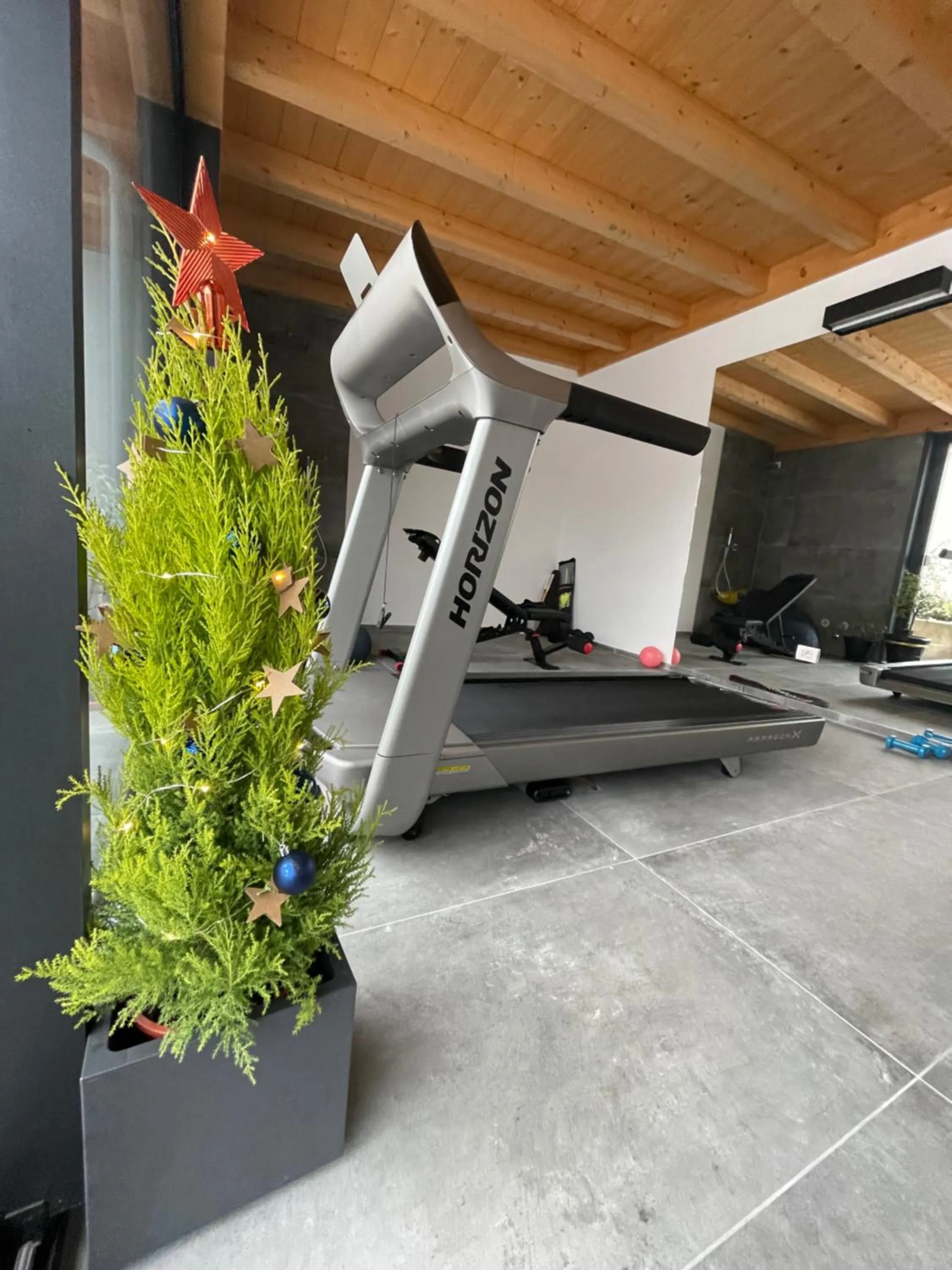 Fitness centre/facilities in Other Garden - Luxury Bed and Breakfast