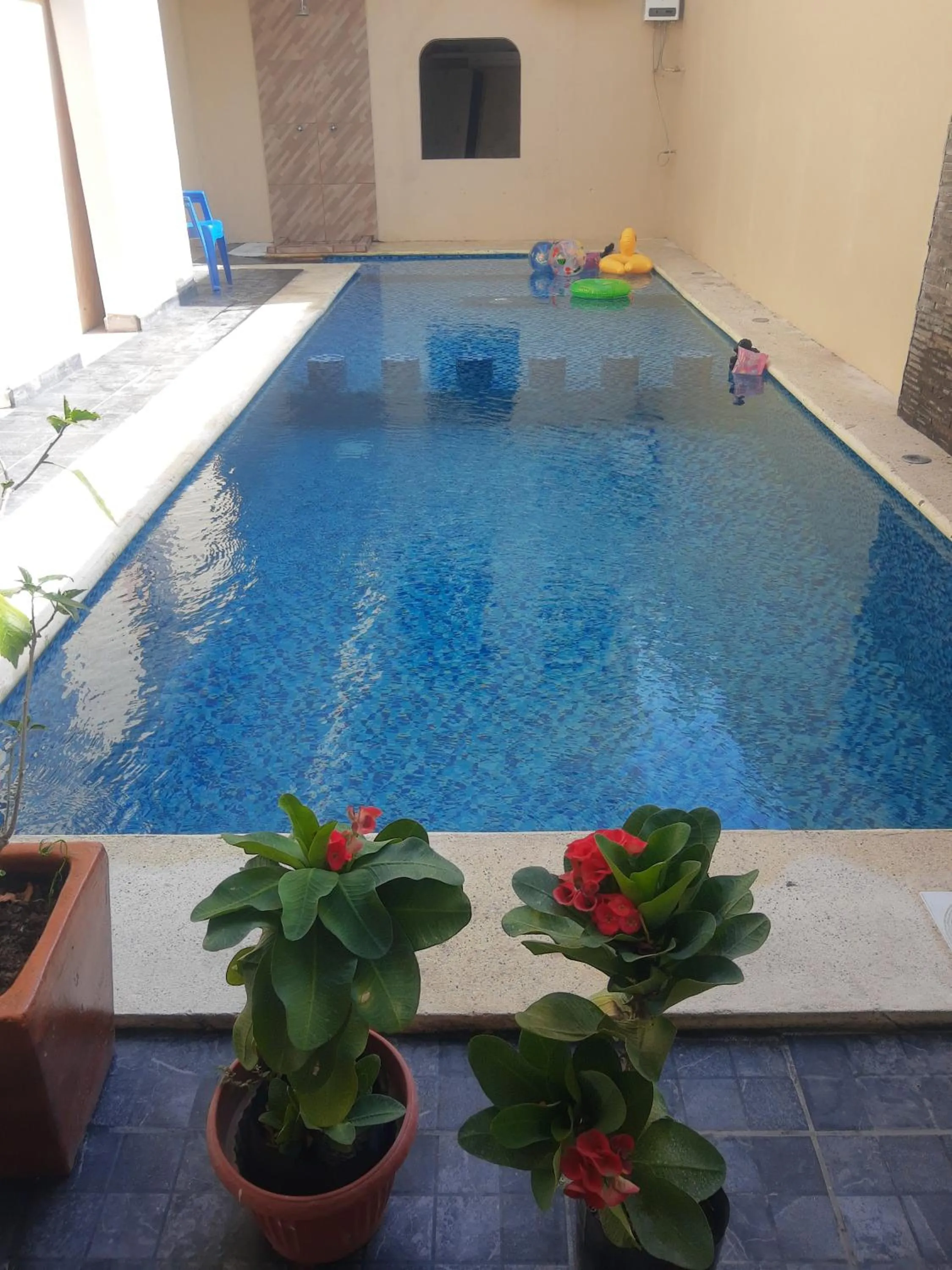 Hotel y Bungalows Bugambilias