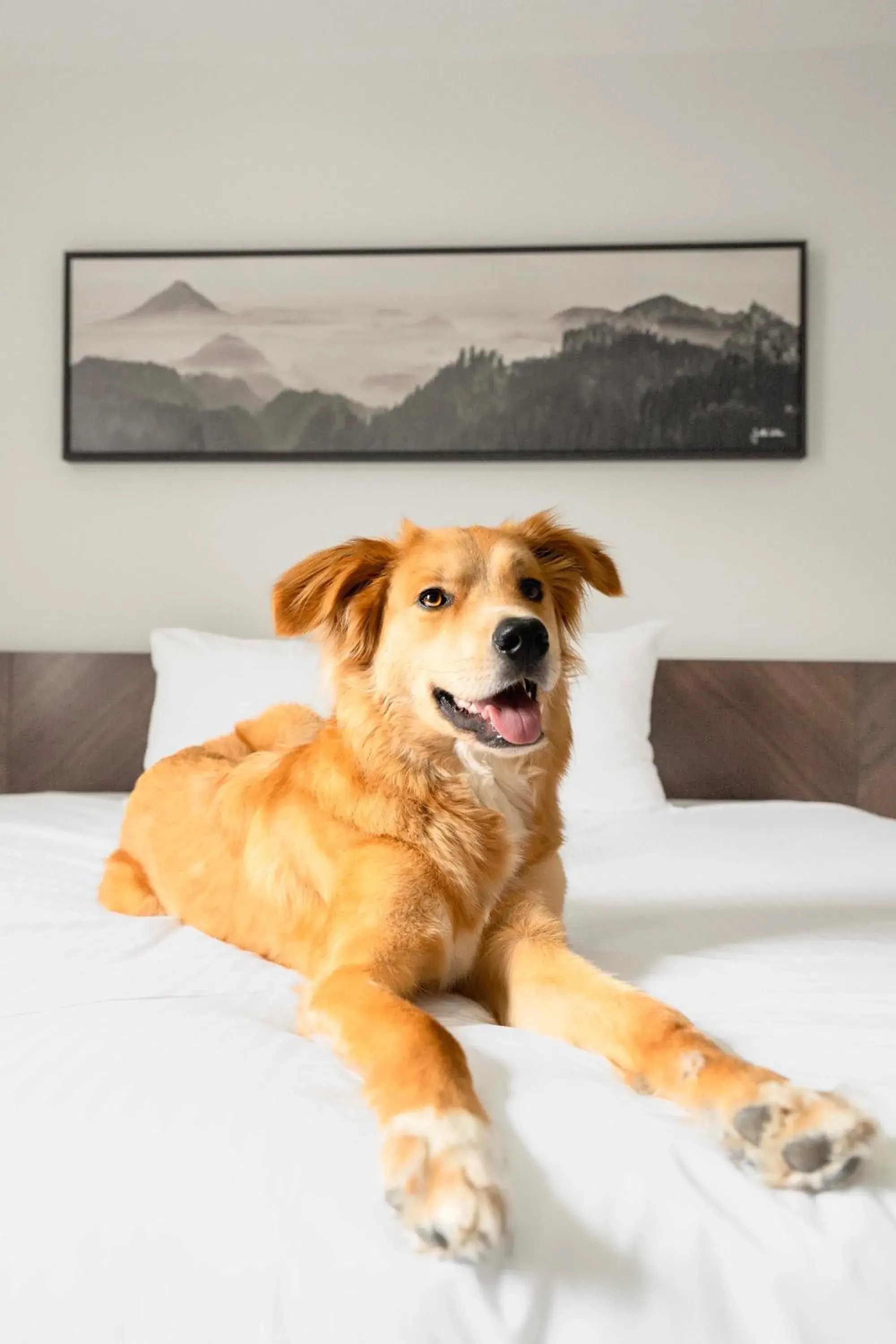 Bed in Adara Hotel Bed in Adara Hotel