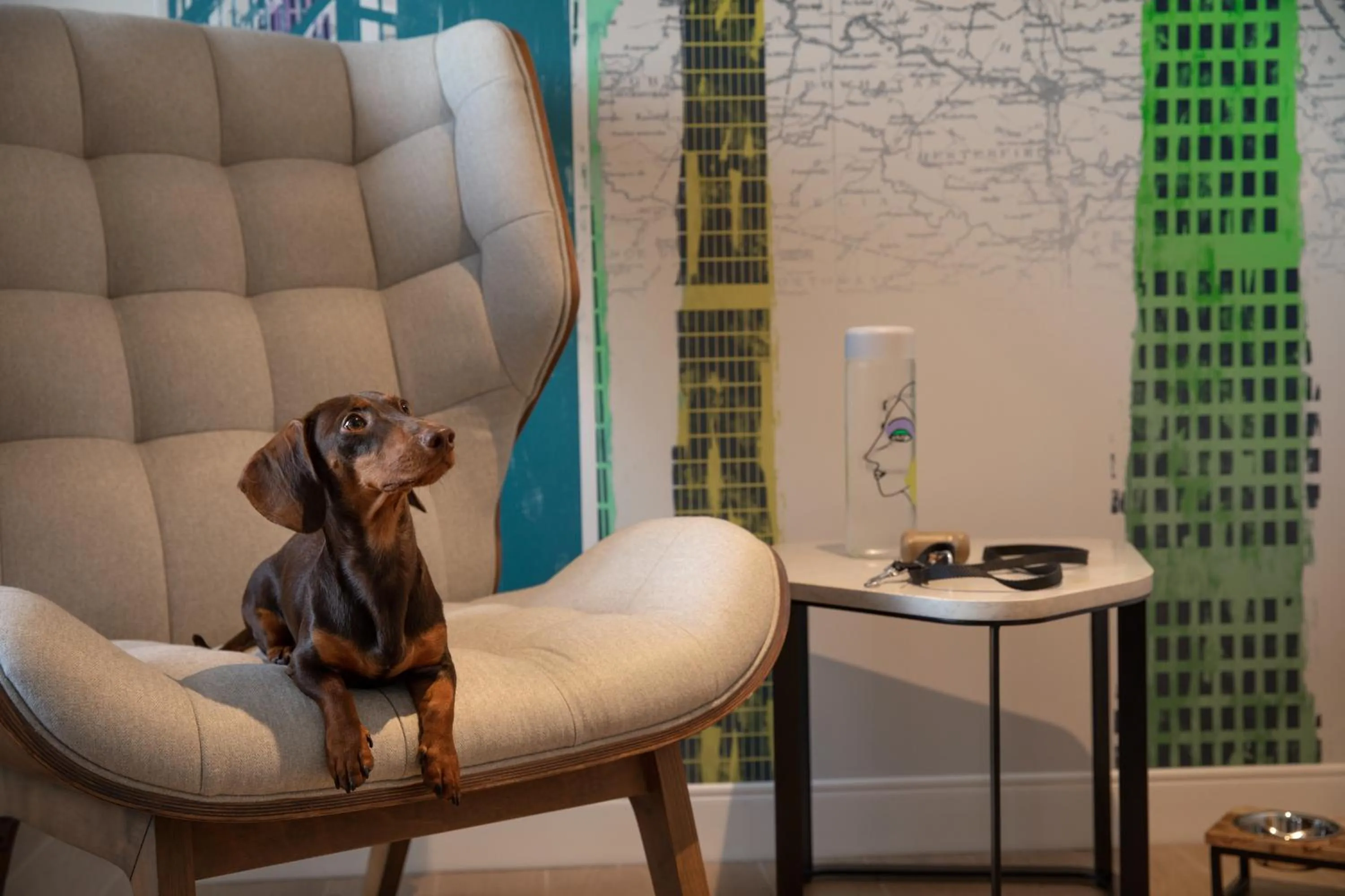 Pets in The Watermark Hotel